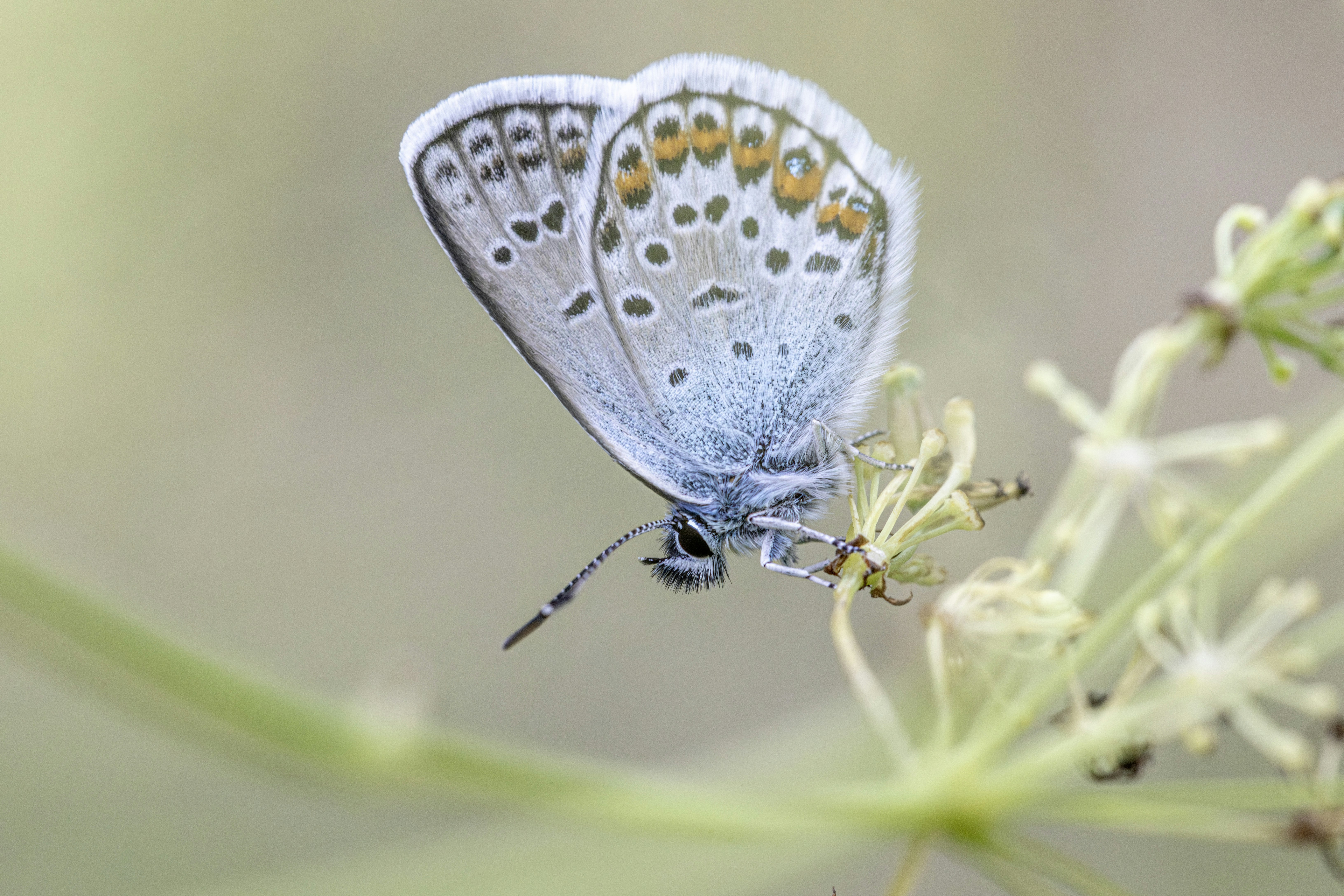 Photo by erik_karits