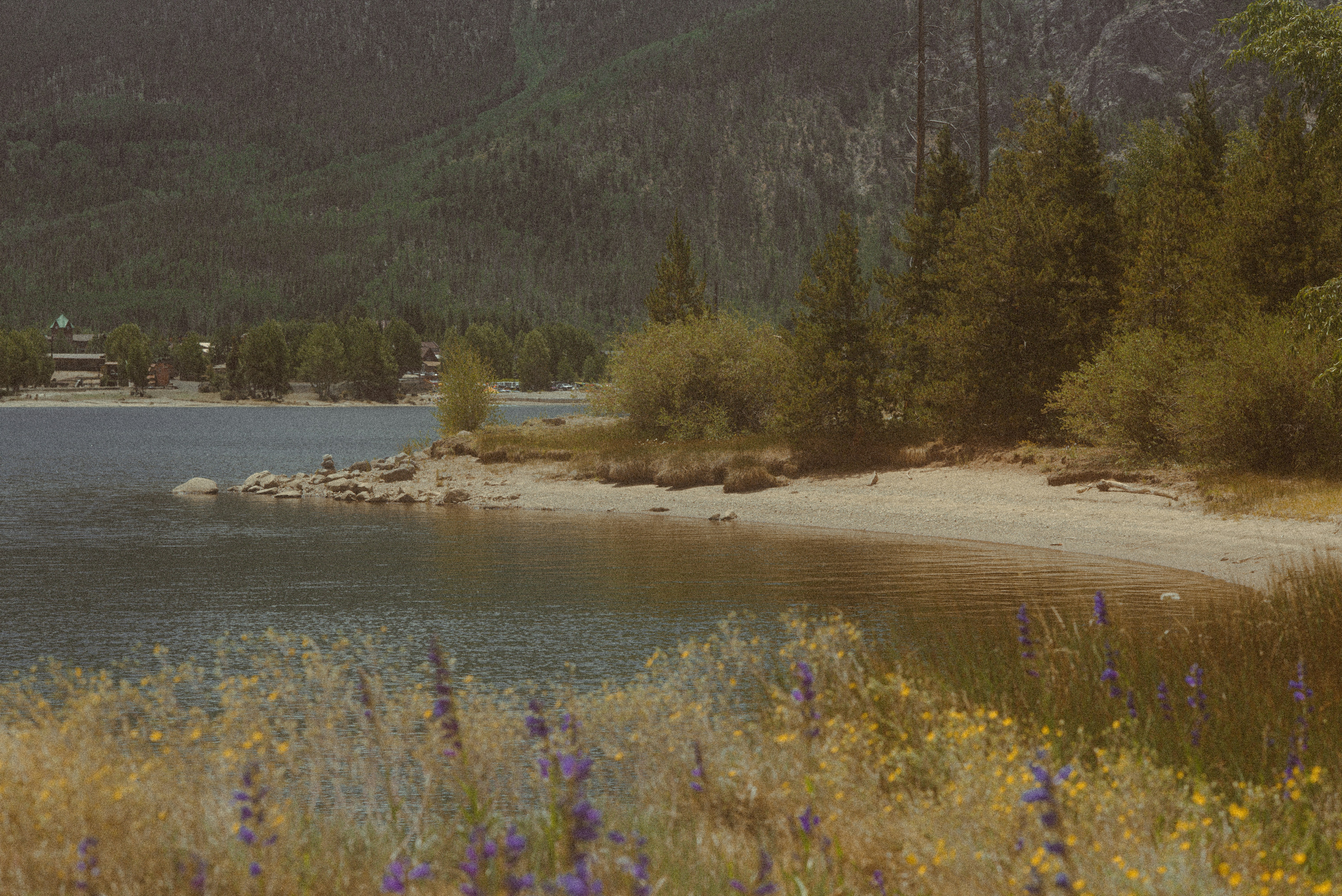 Photo by tayannphoto