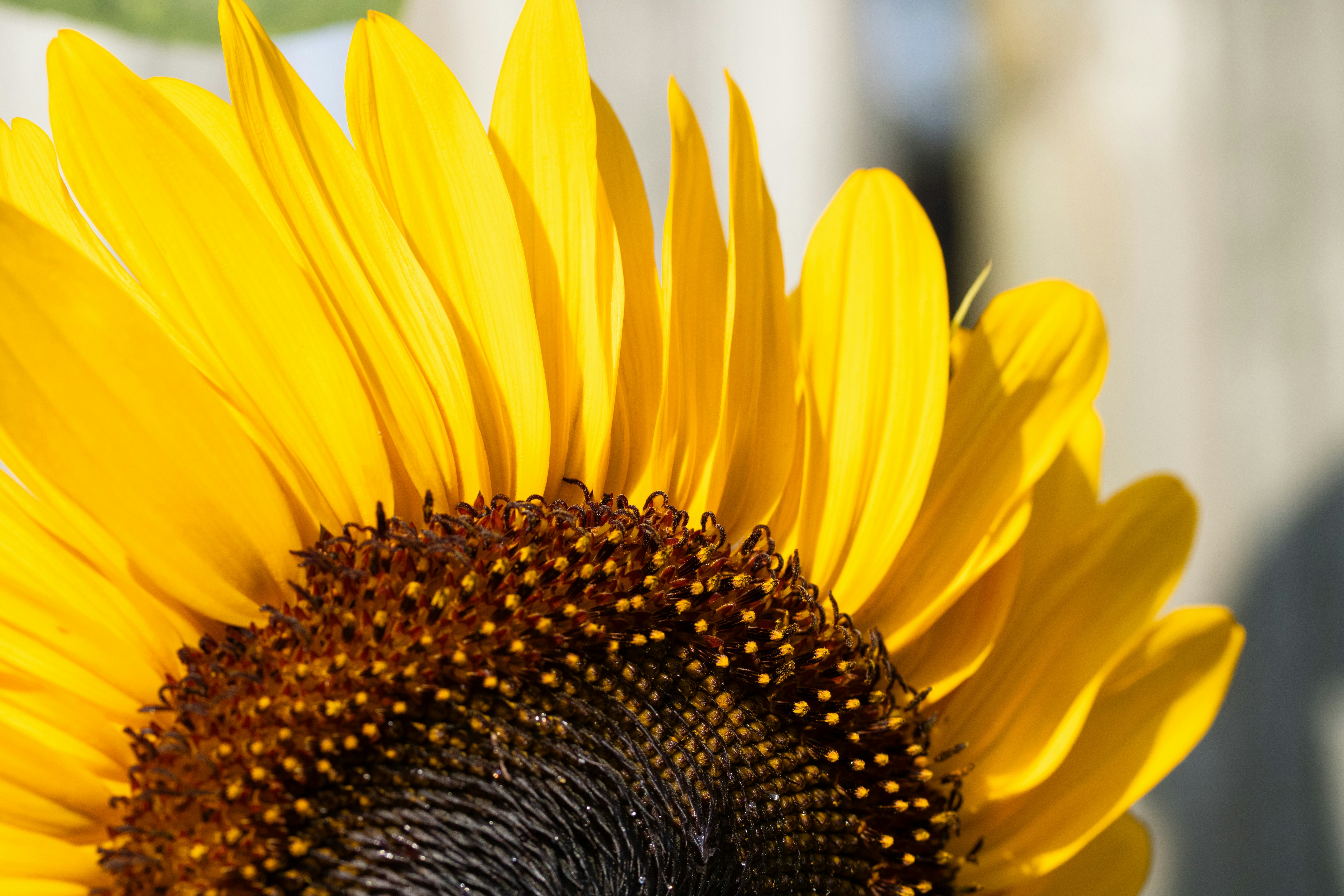 Photo by courtneycantu