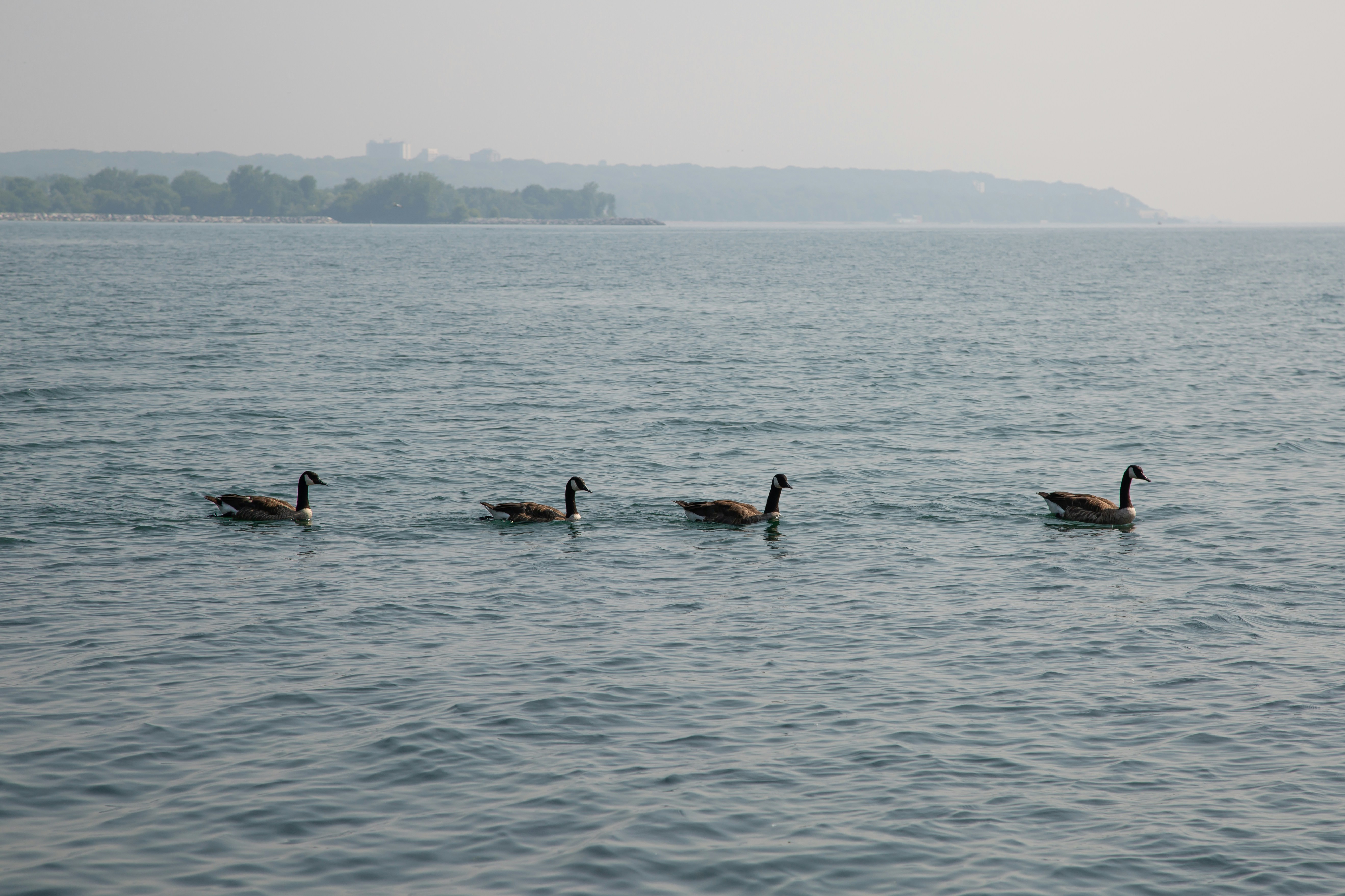 Photo by sofiatheexplorer