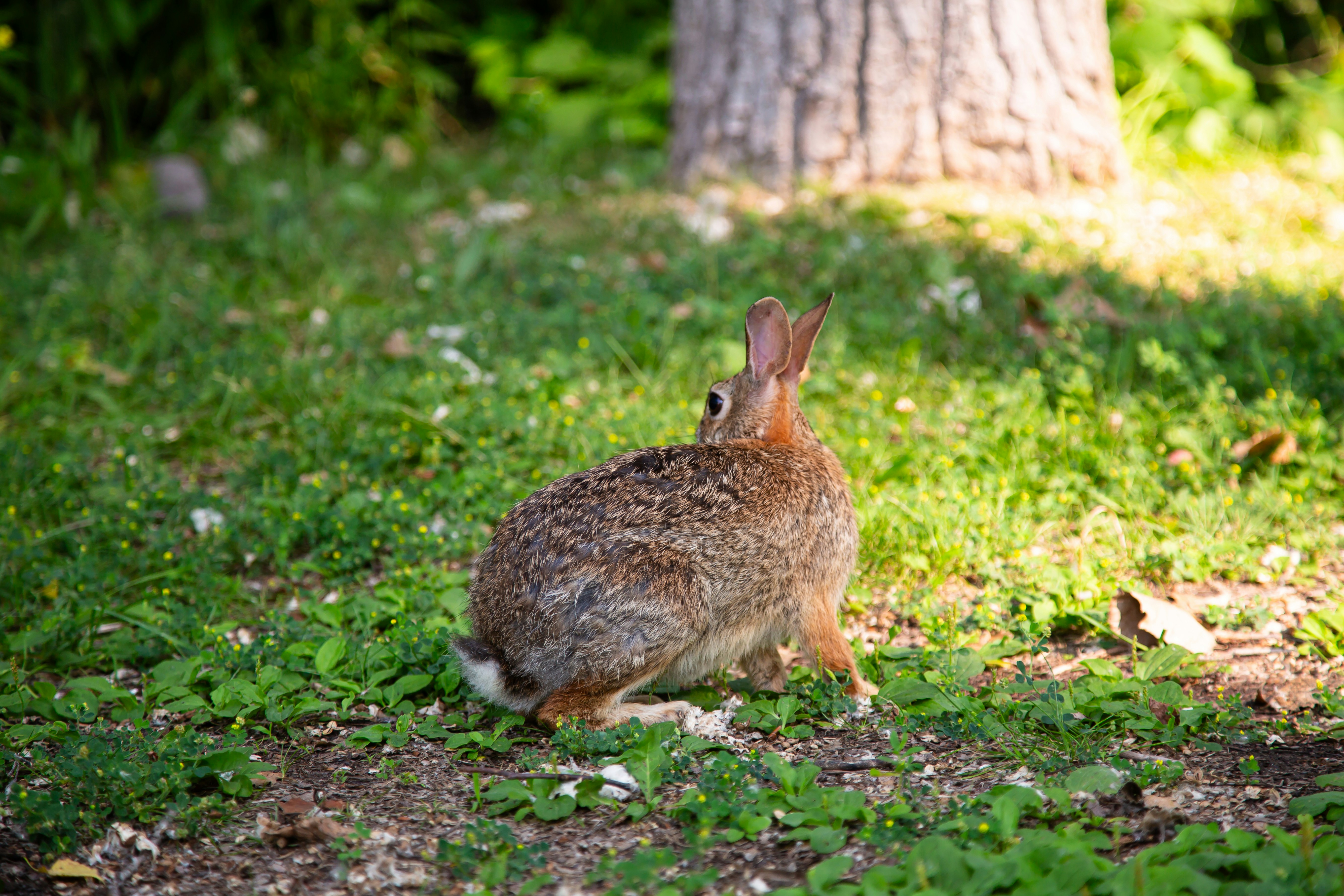 Photo by sofiatheexplorer