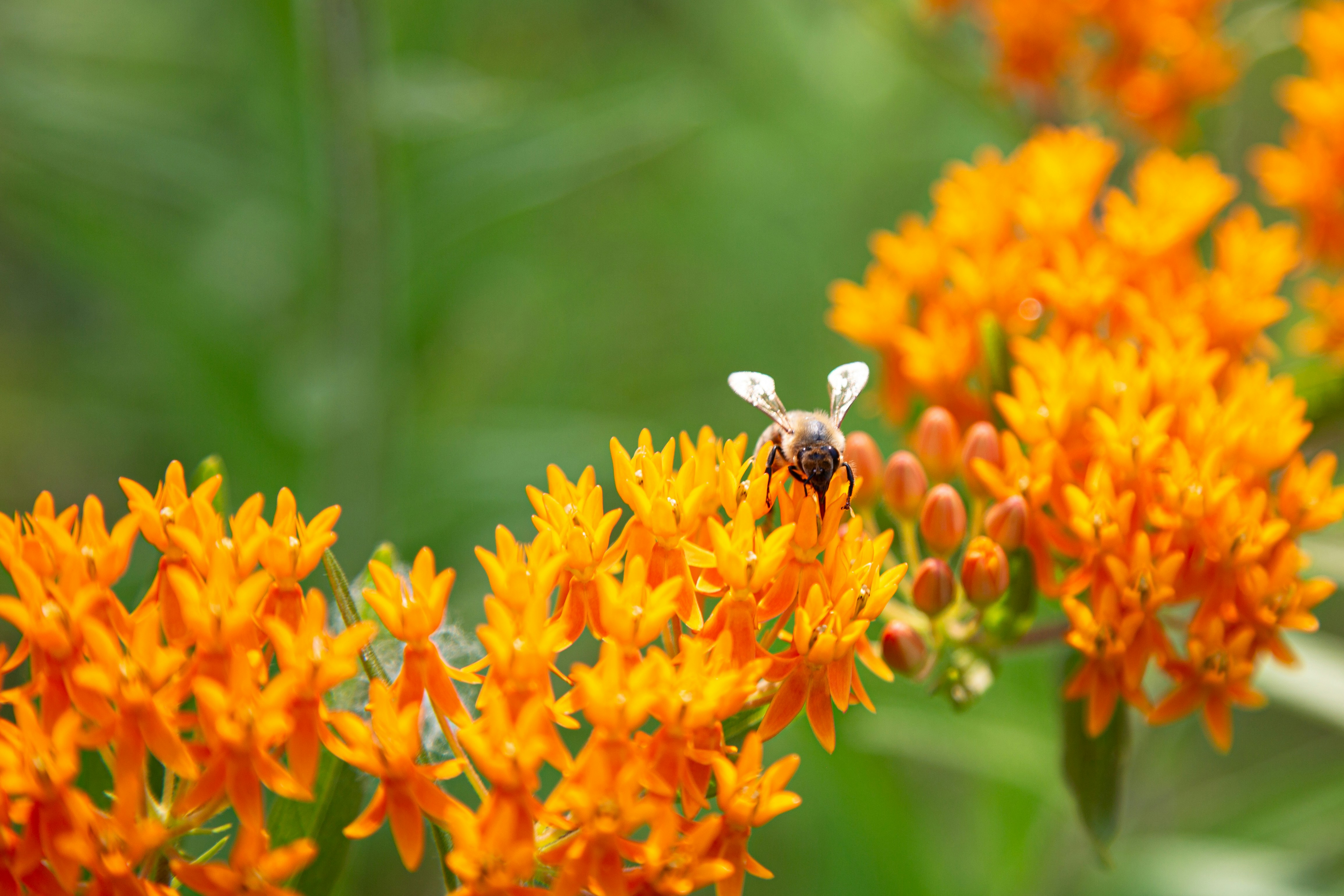 Photo by sofiatheexplorer