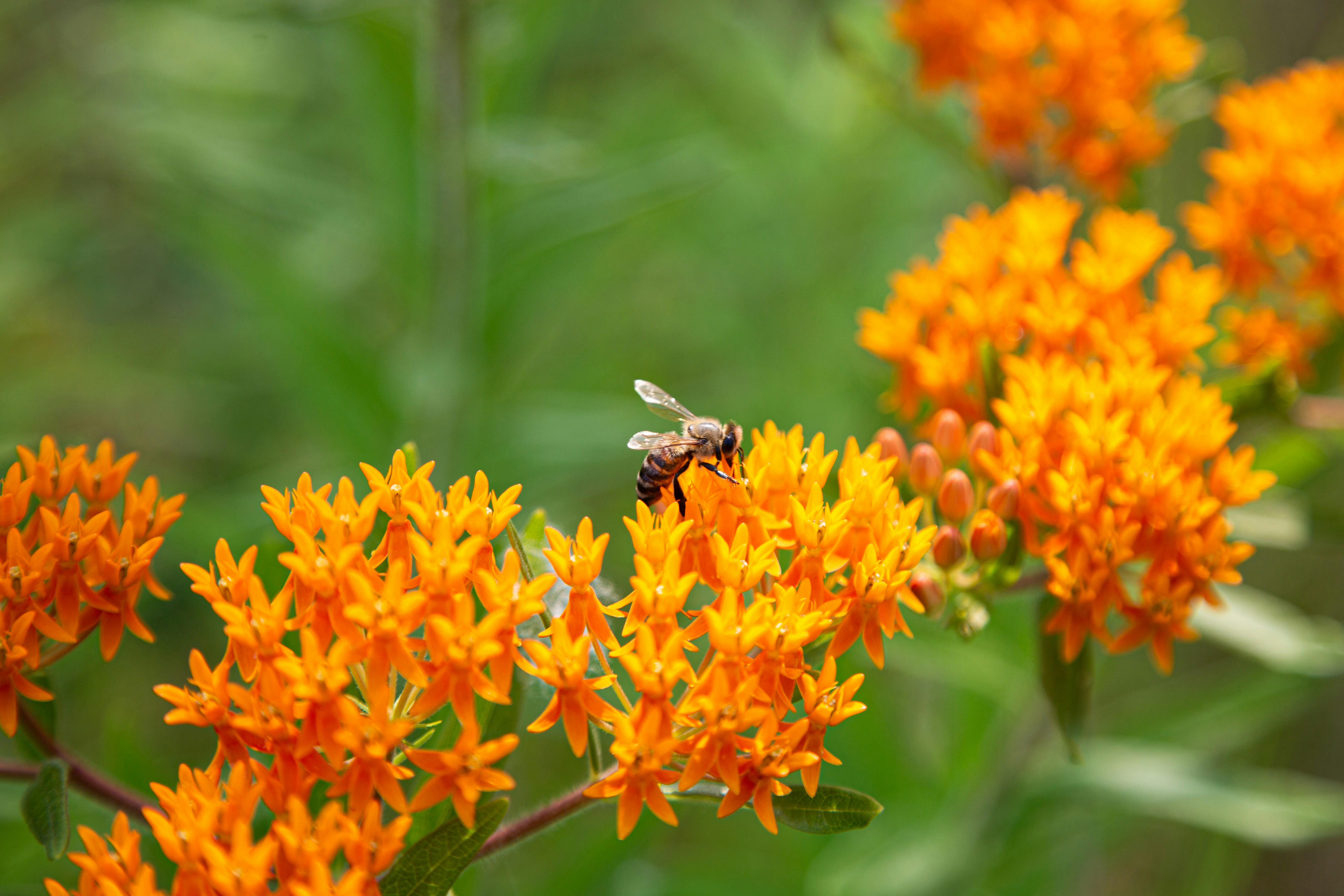 Photo by sofiatheexplorer