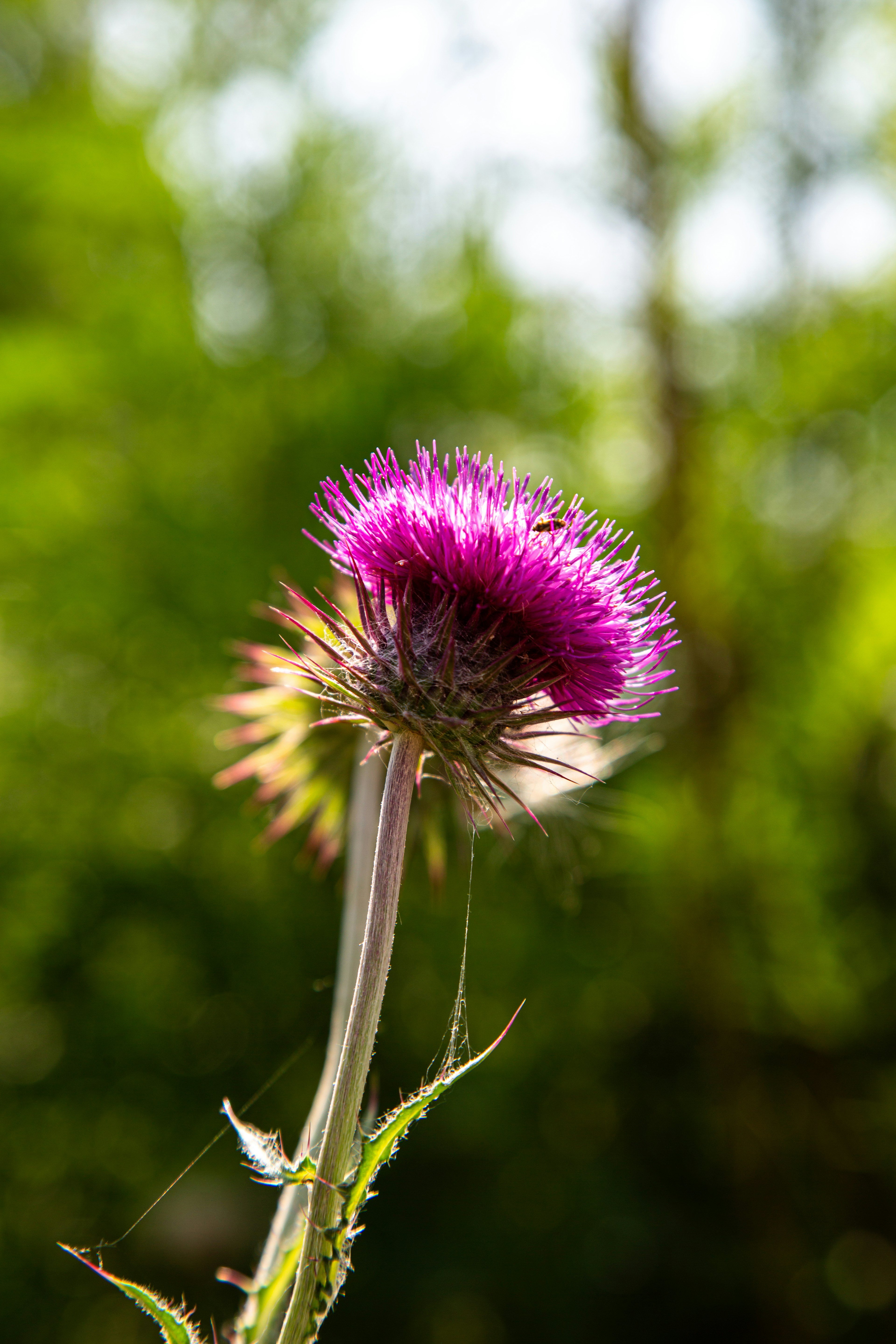 Photo by sofiatheexplorer