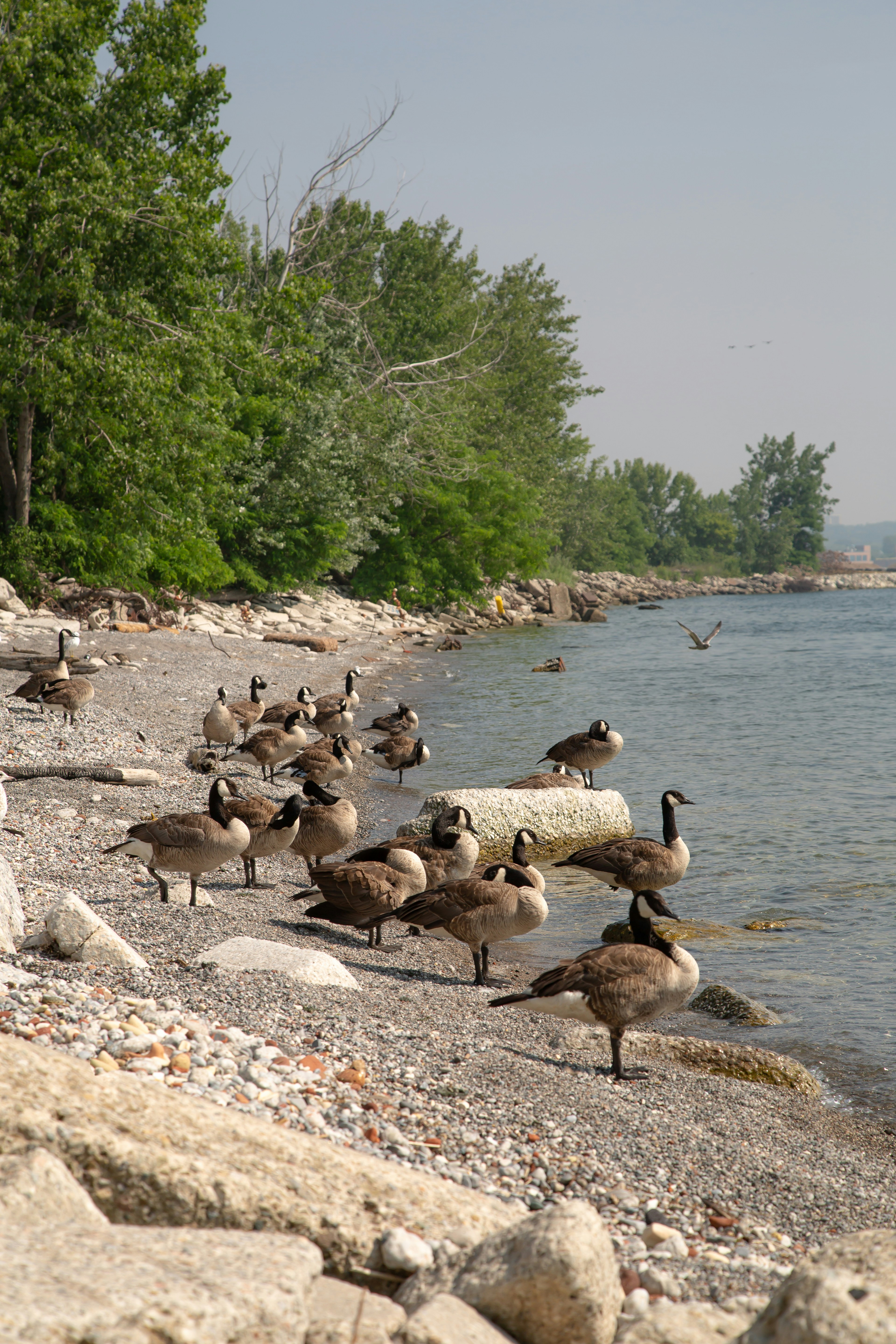 Monday FTB: A Wild welcome home