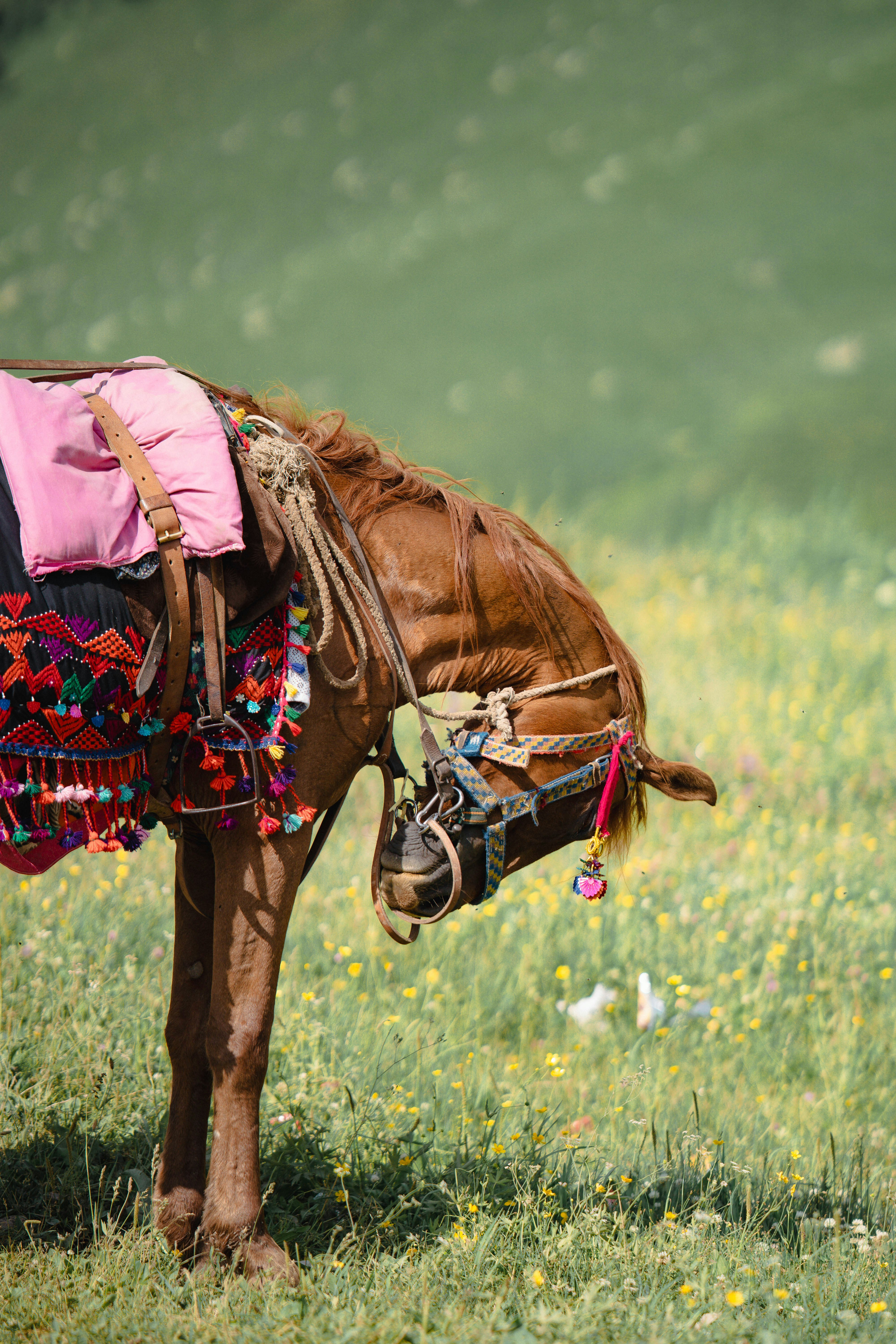 Photo by hasnainayaz_com