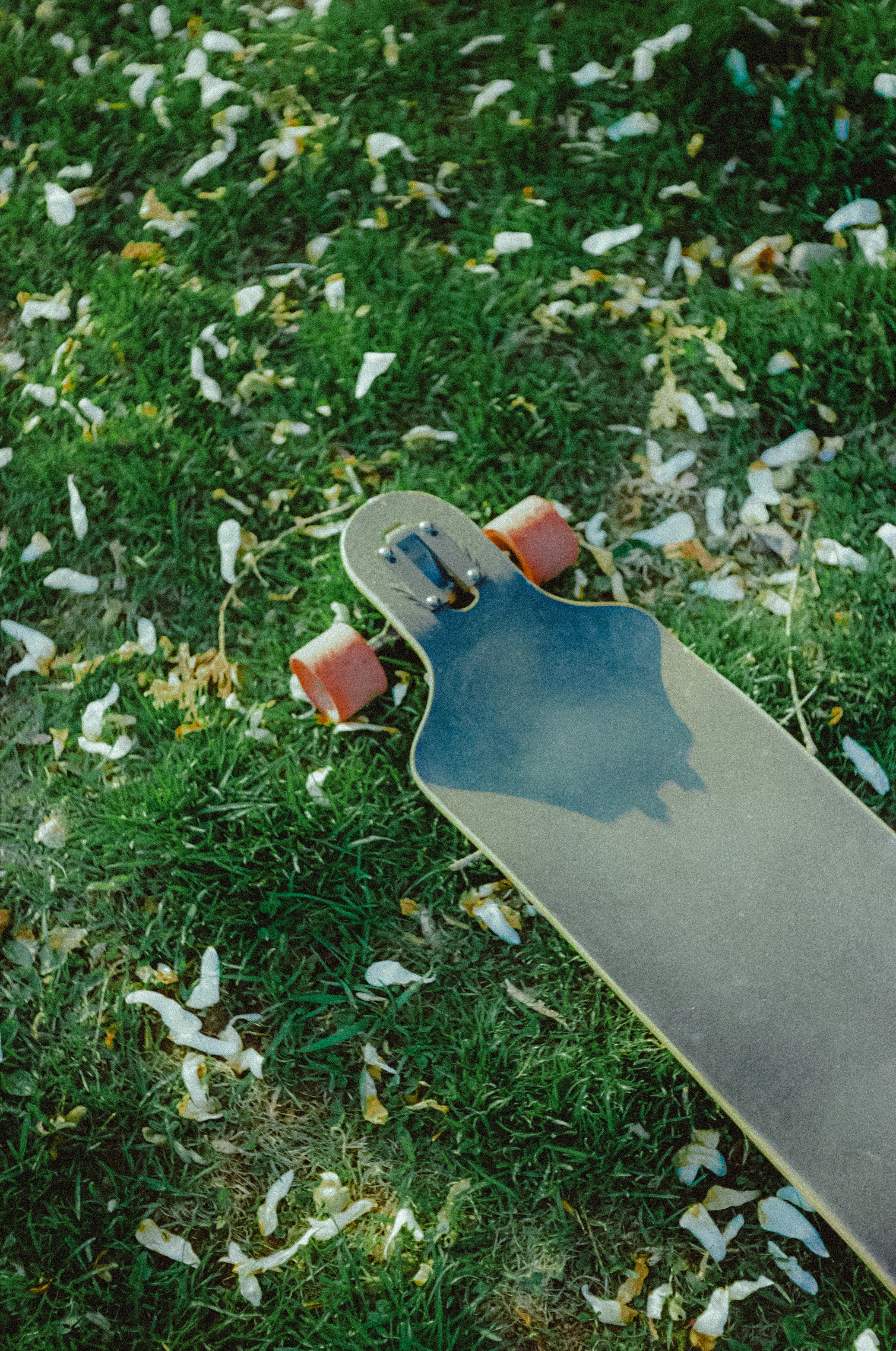 Photo by linusbelanger