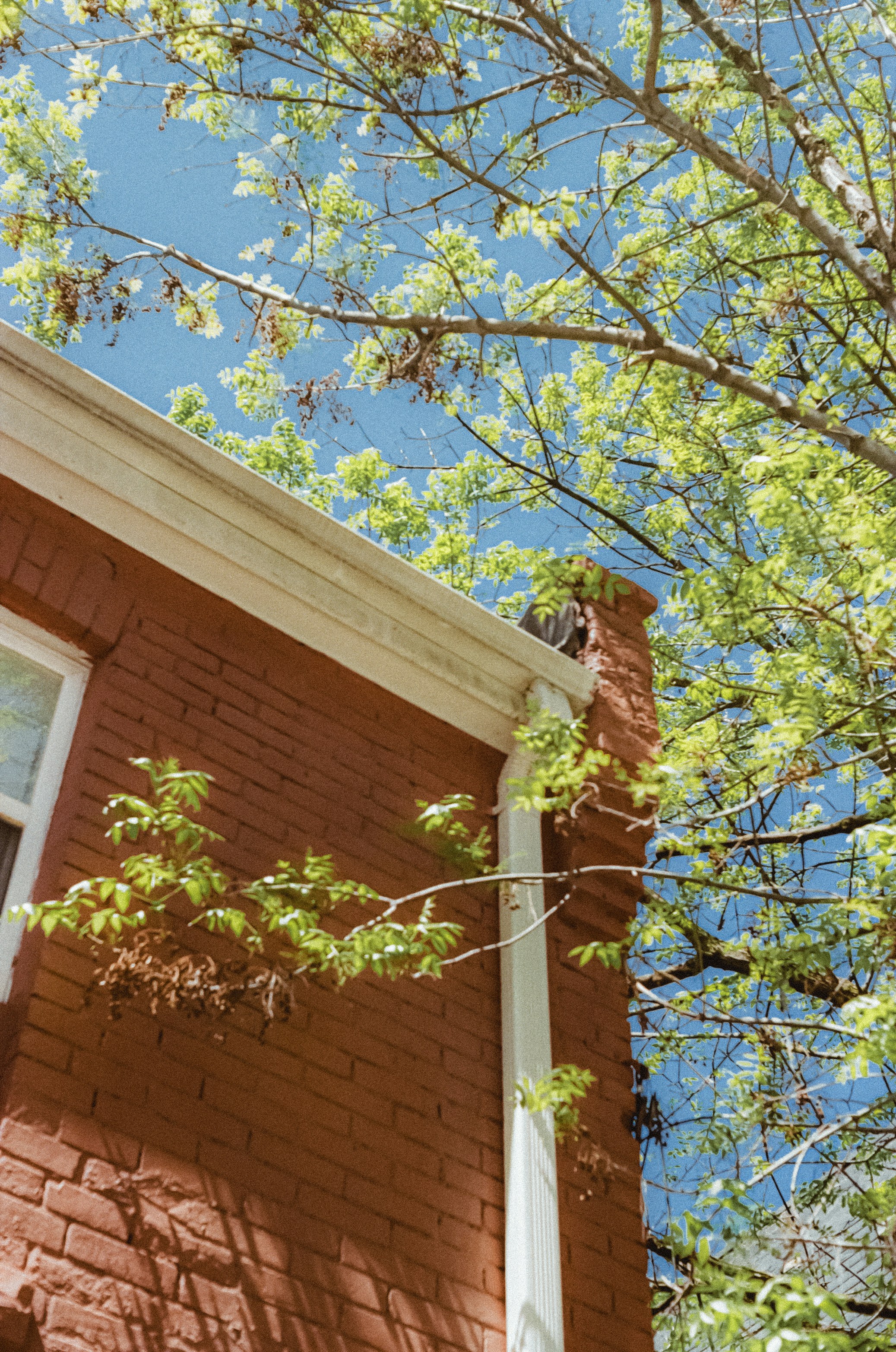 Photo by linusbelanger