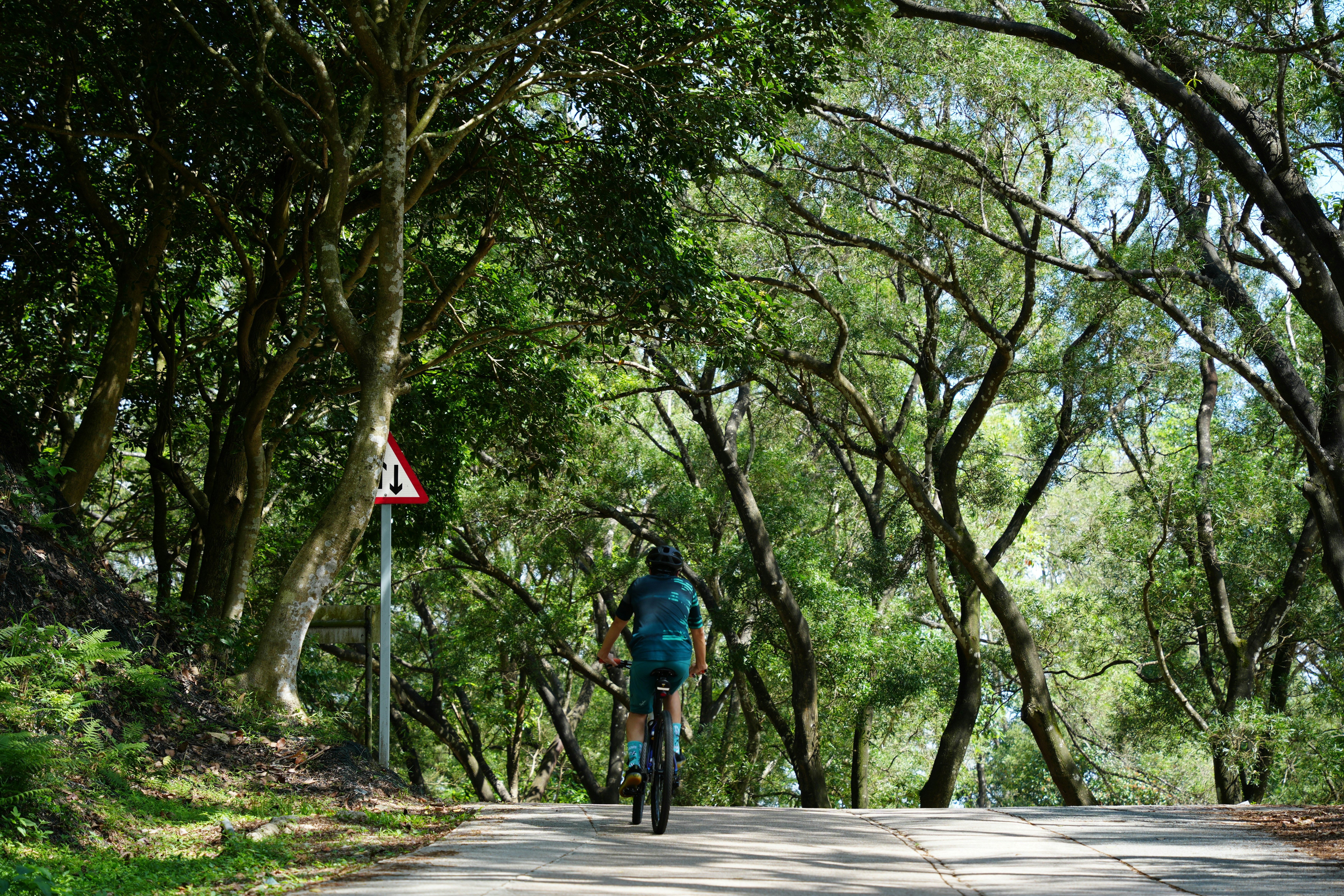 Cyclist rides through a wooded path on a sunny day.