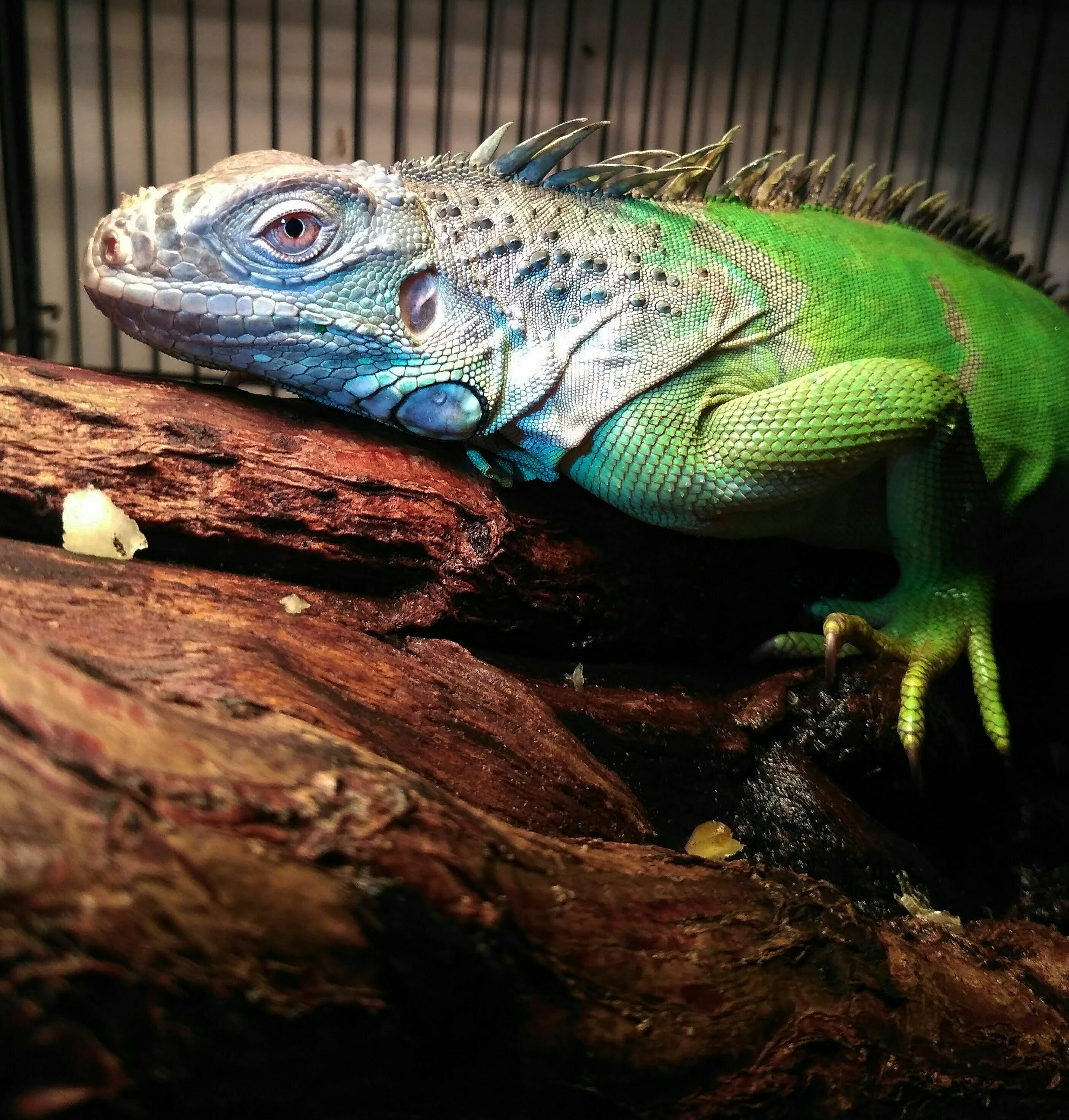 Photo by santosoaudi76