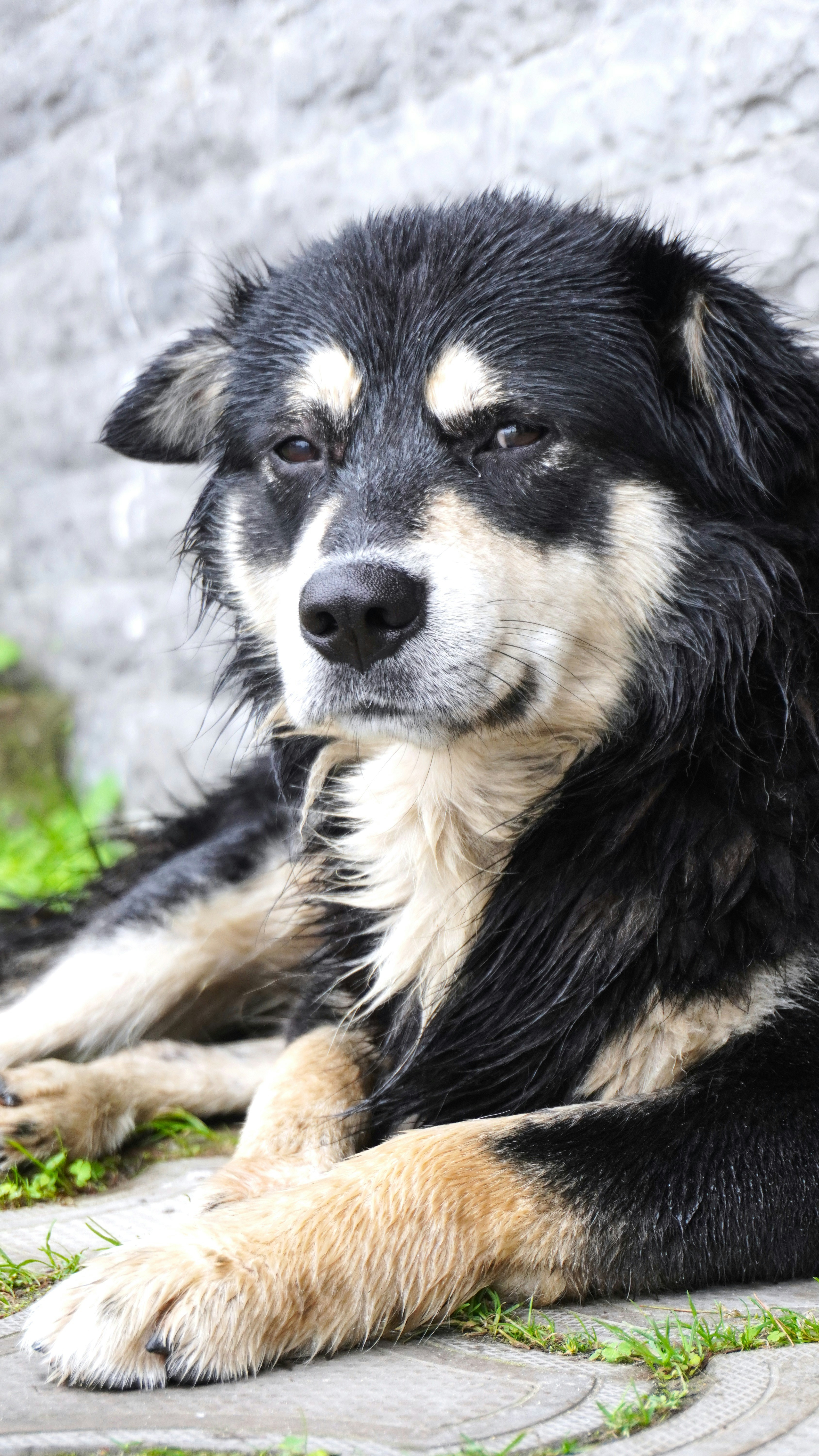 Photo by aditipanatu95