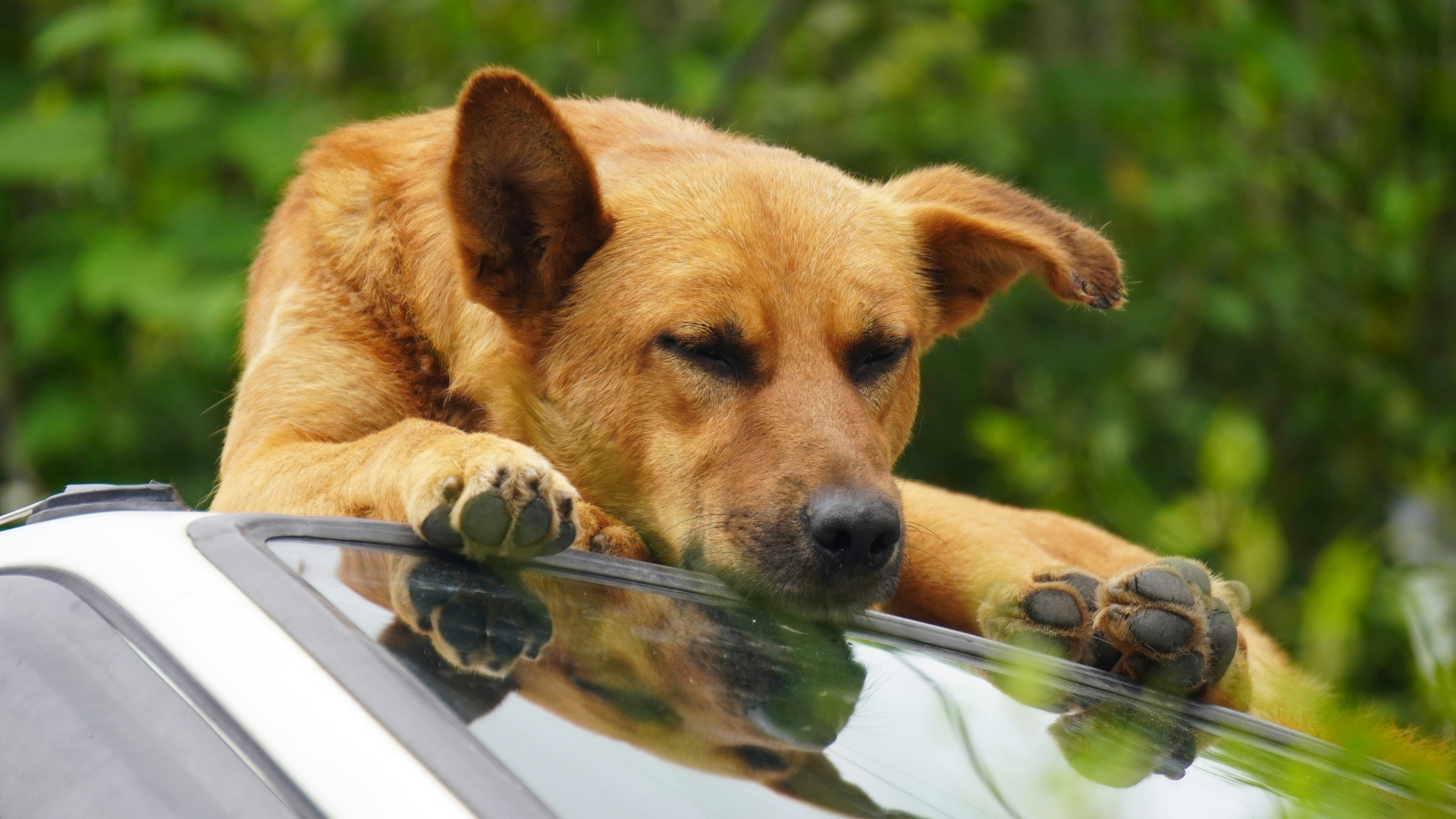 Photo by aditipanatu95