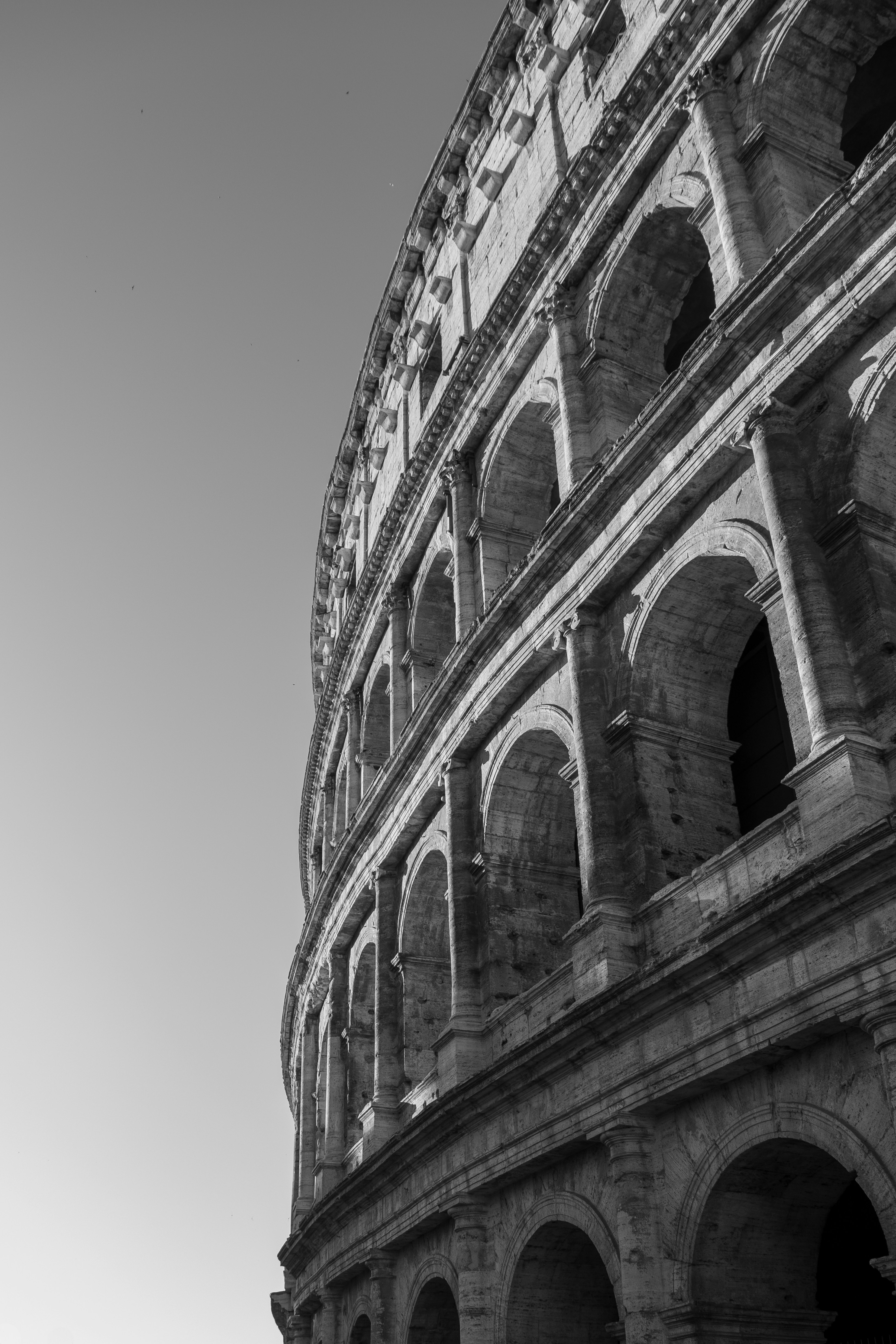 L'imponente facciata del Colosseo si erge alta.