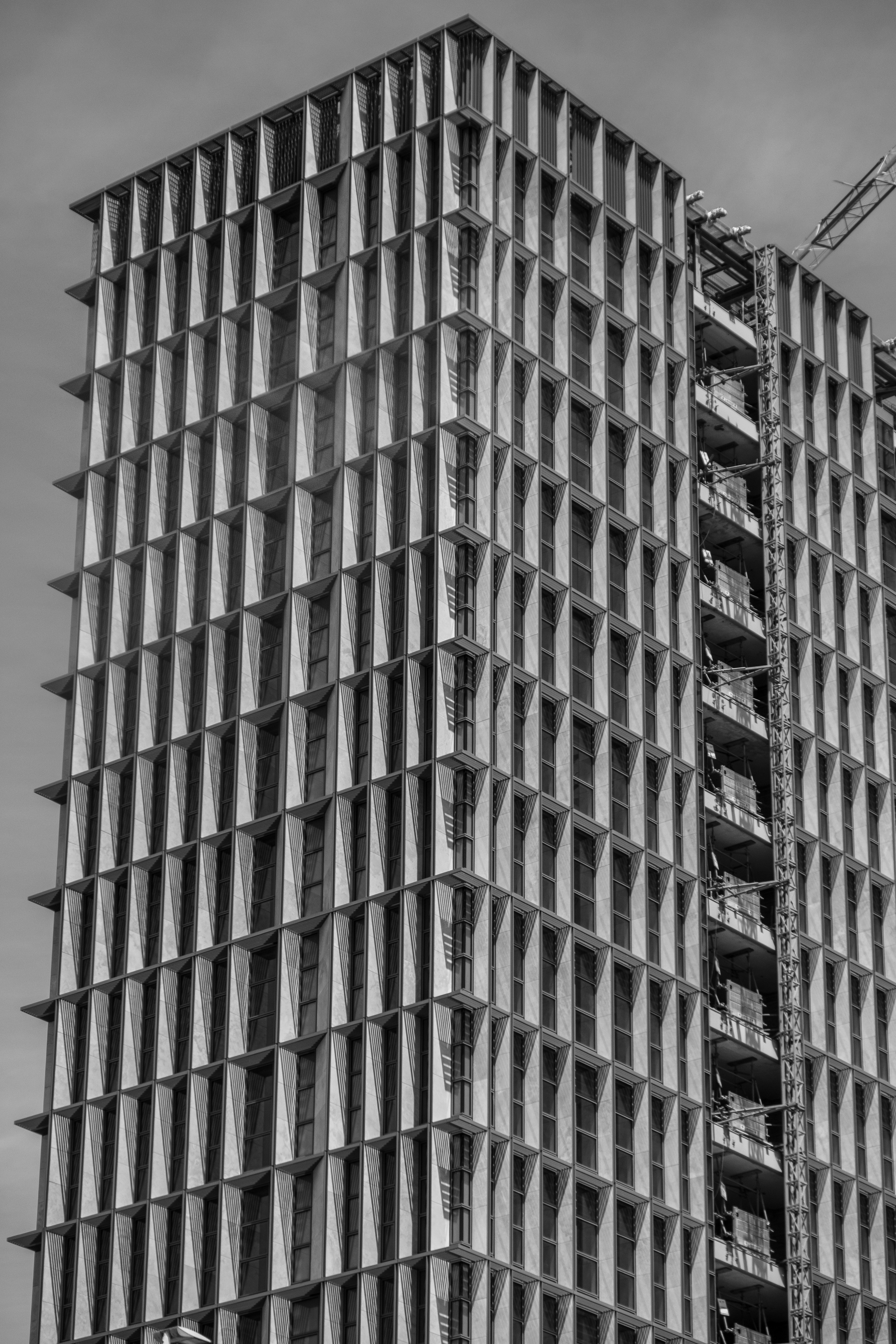 Photo by farzadfelfelian