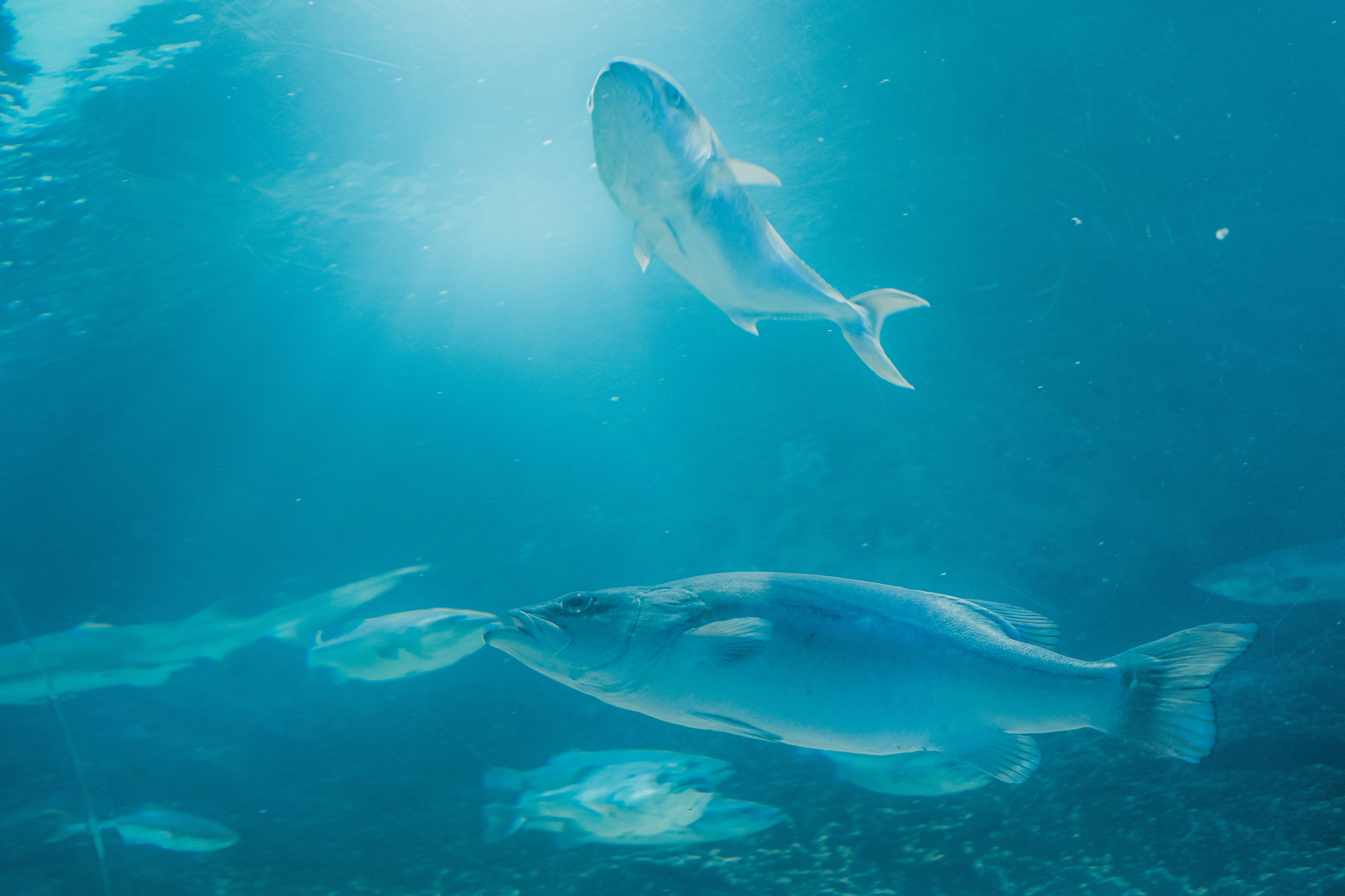 Photo by evannguyen07