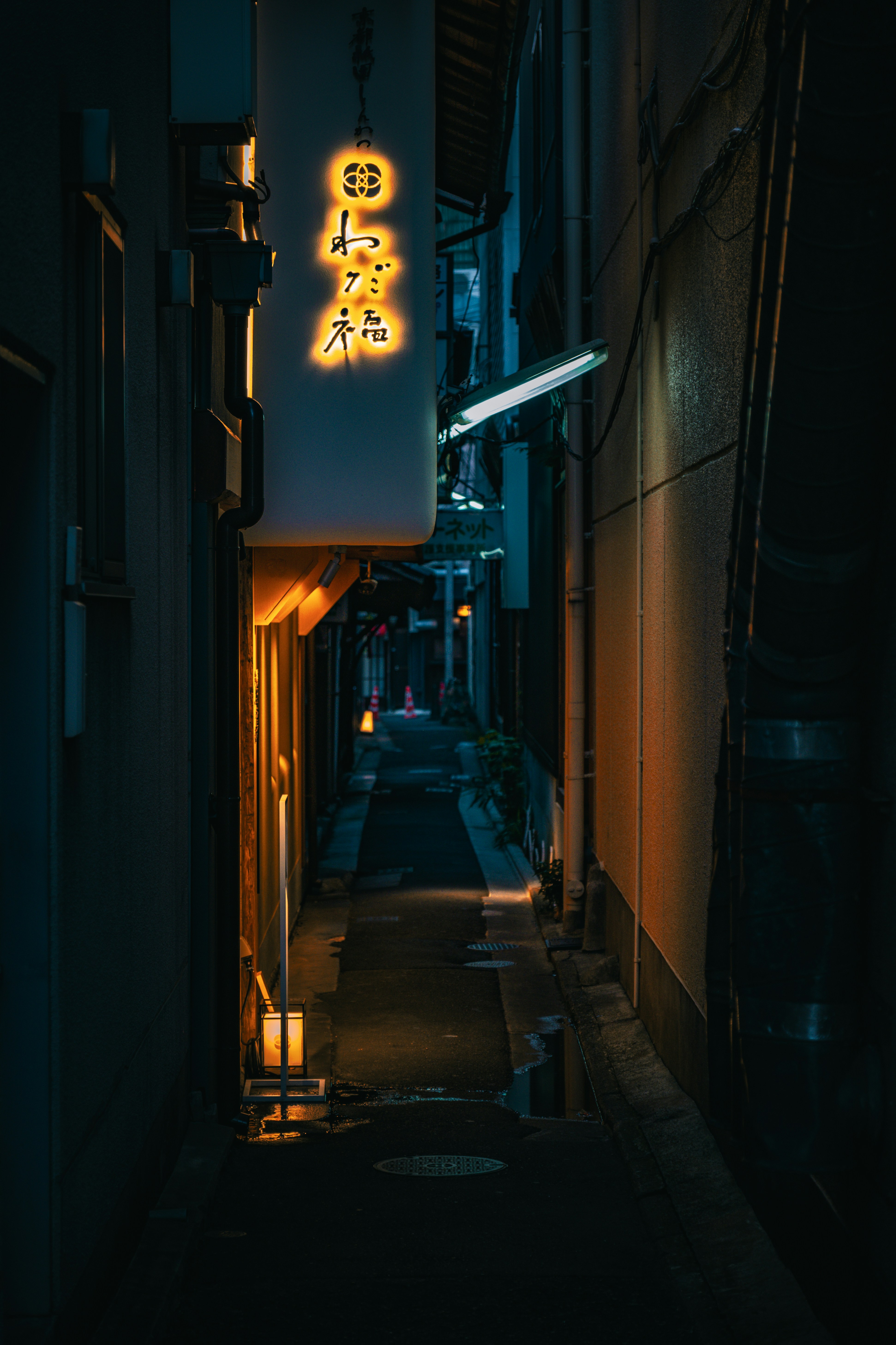 Photo by evannguyen07