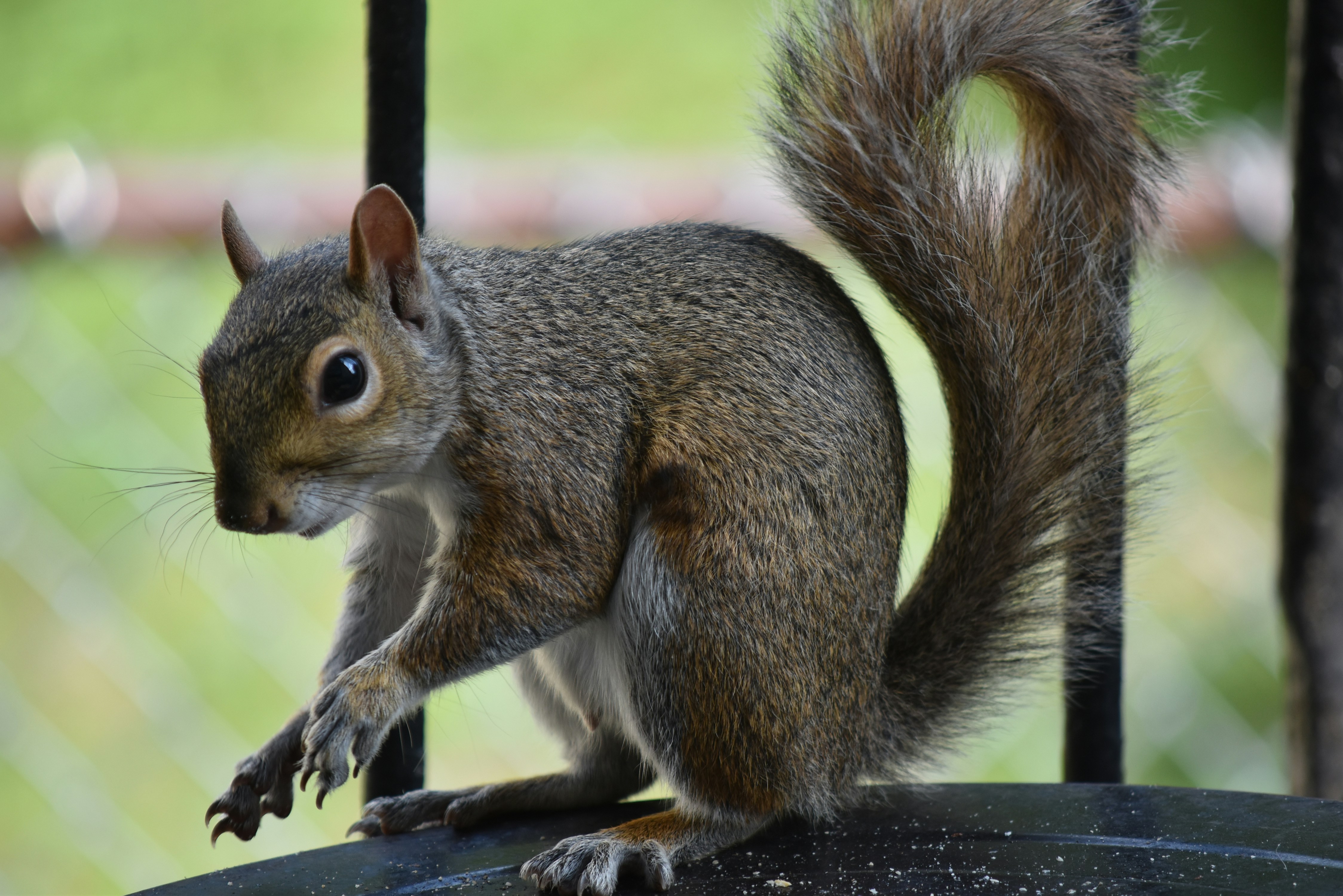 Photo by christopherclass