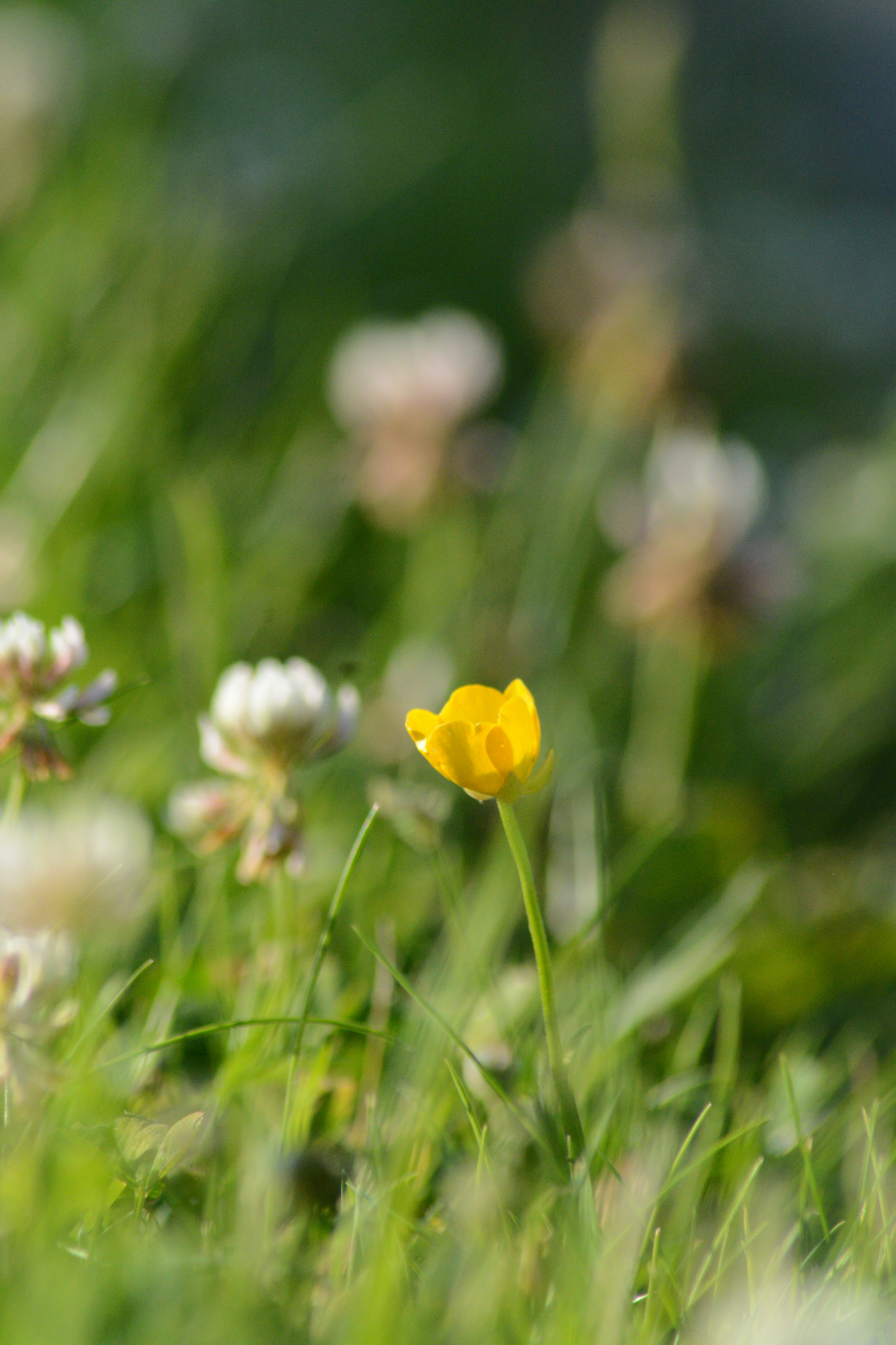 Photo by takimuura