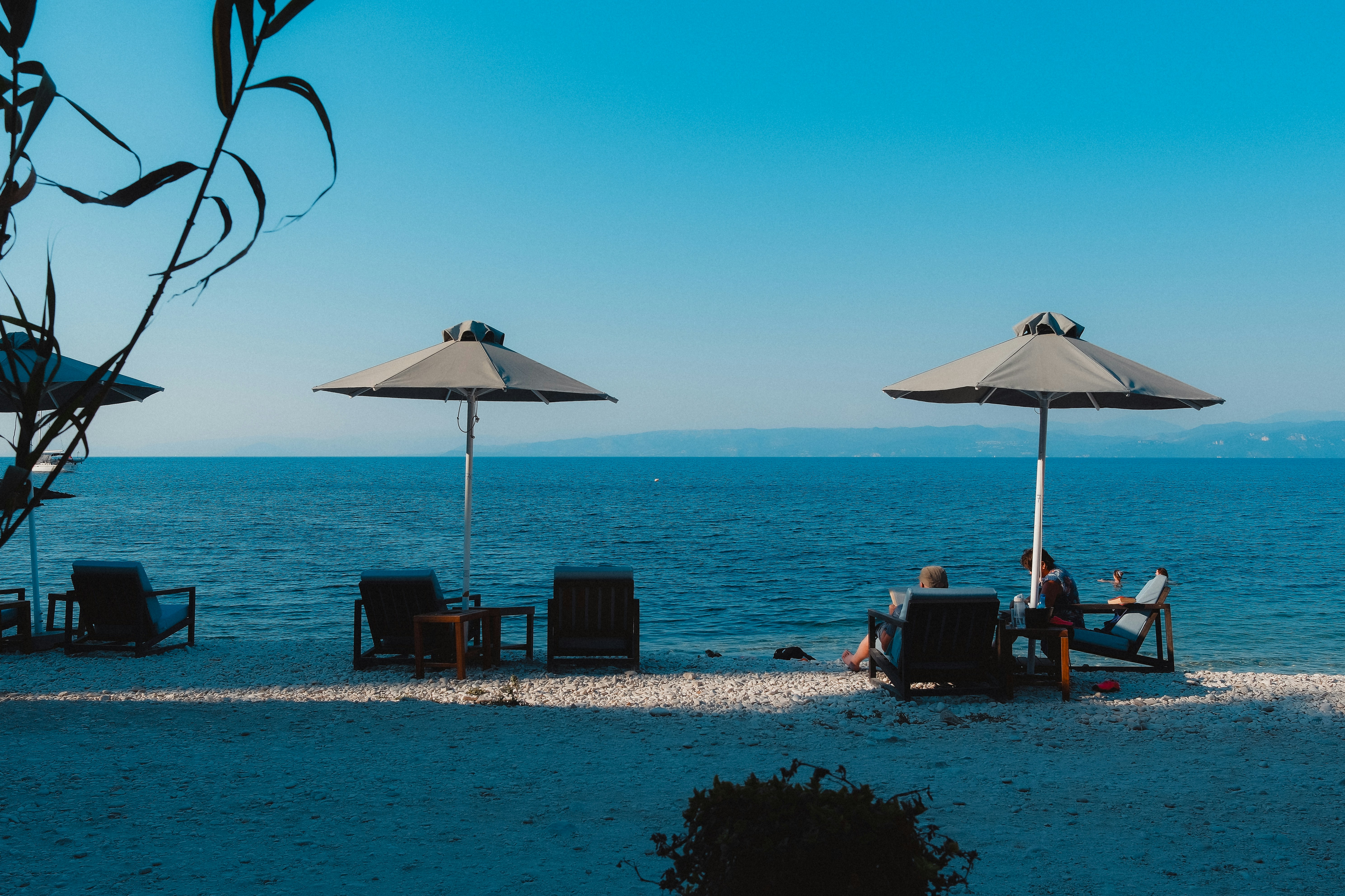 Photo by lmoss_photo