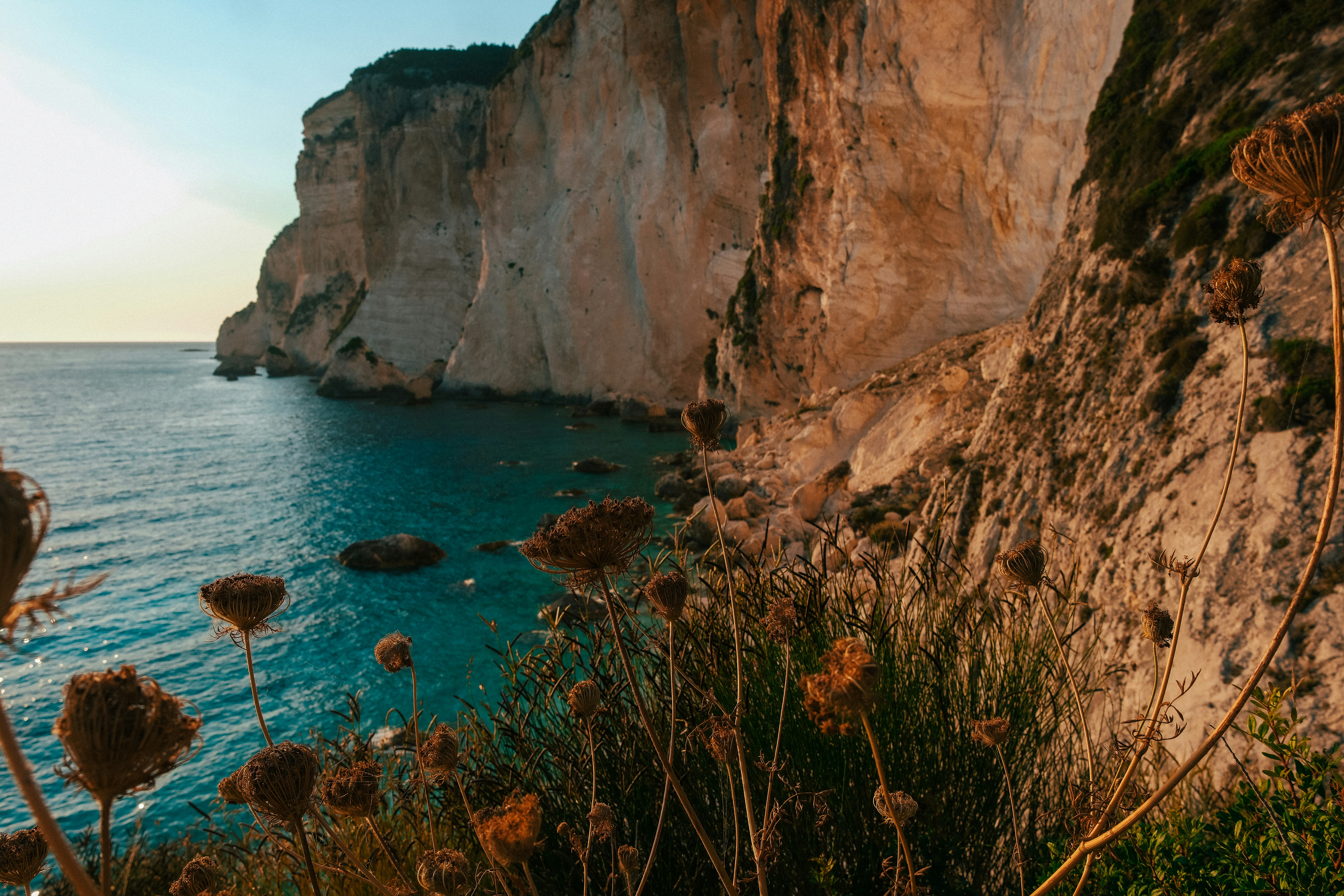 Photo by lmoss_photo