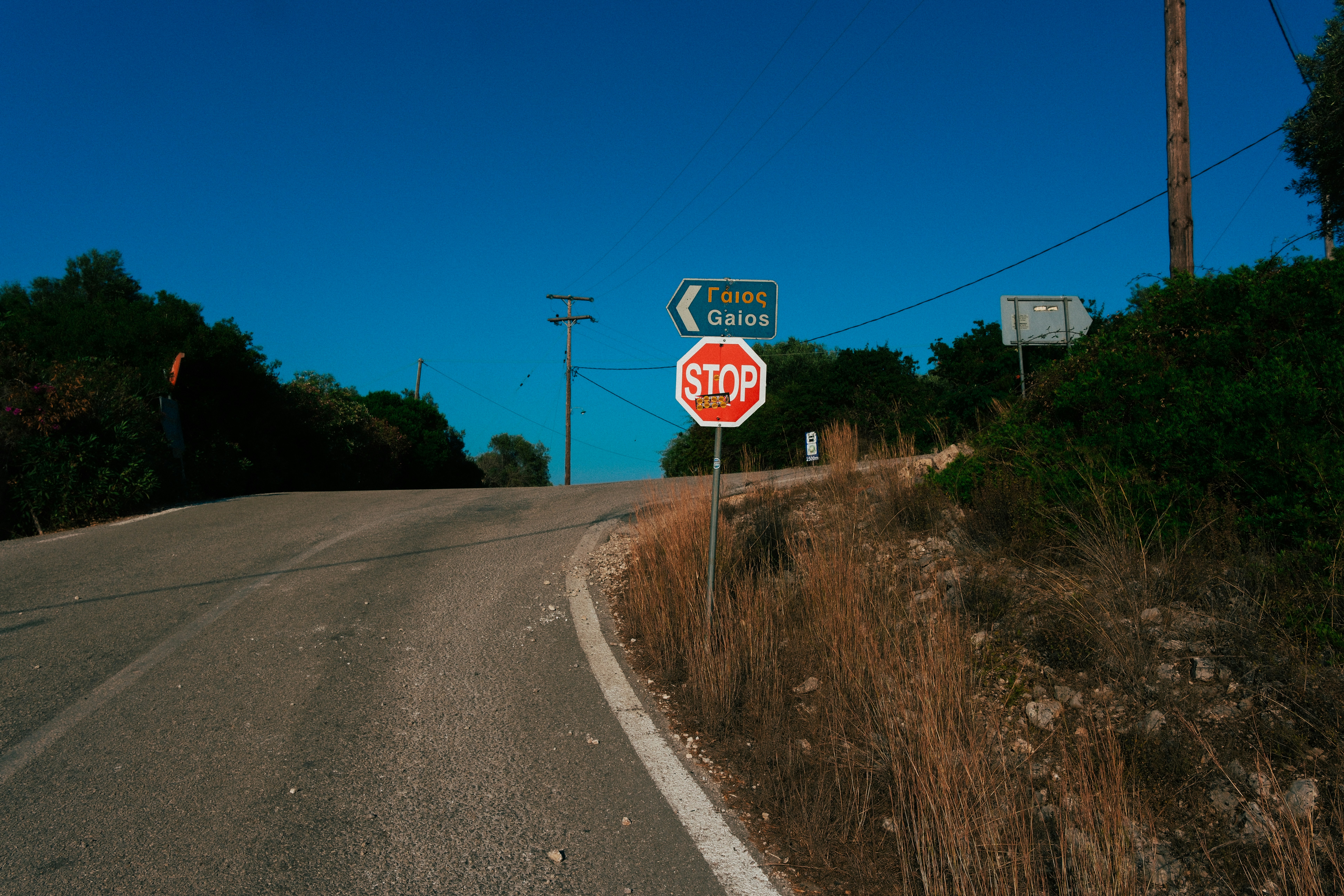 Photo by lmoss_photo