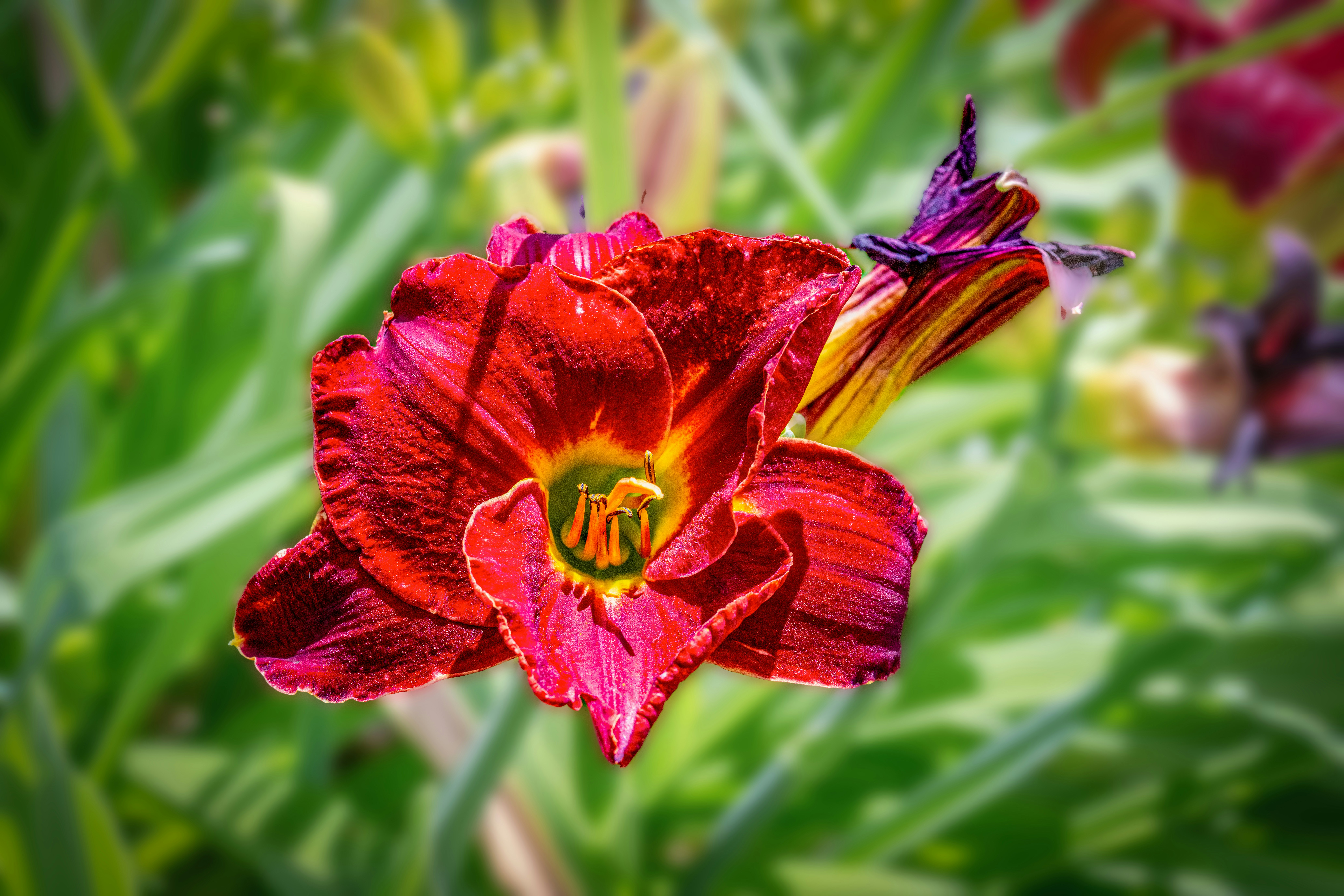 Photo by siegfriedpoepperl