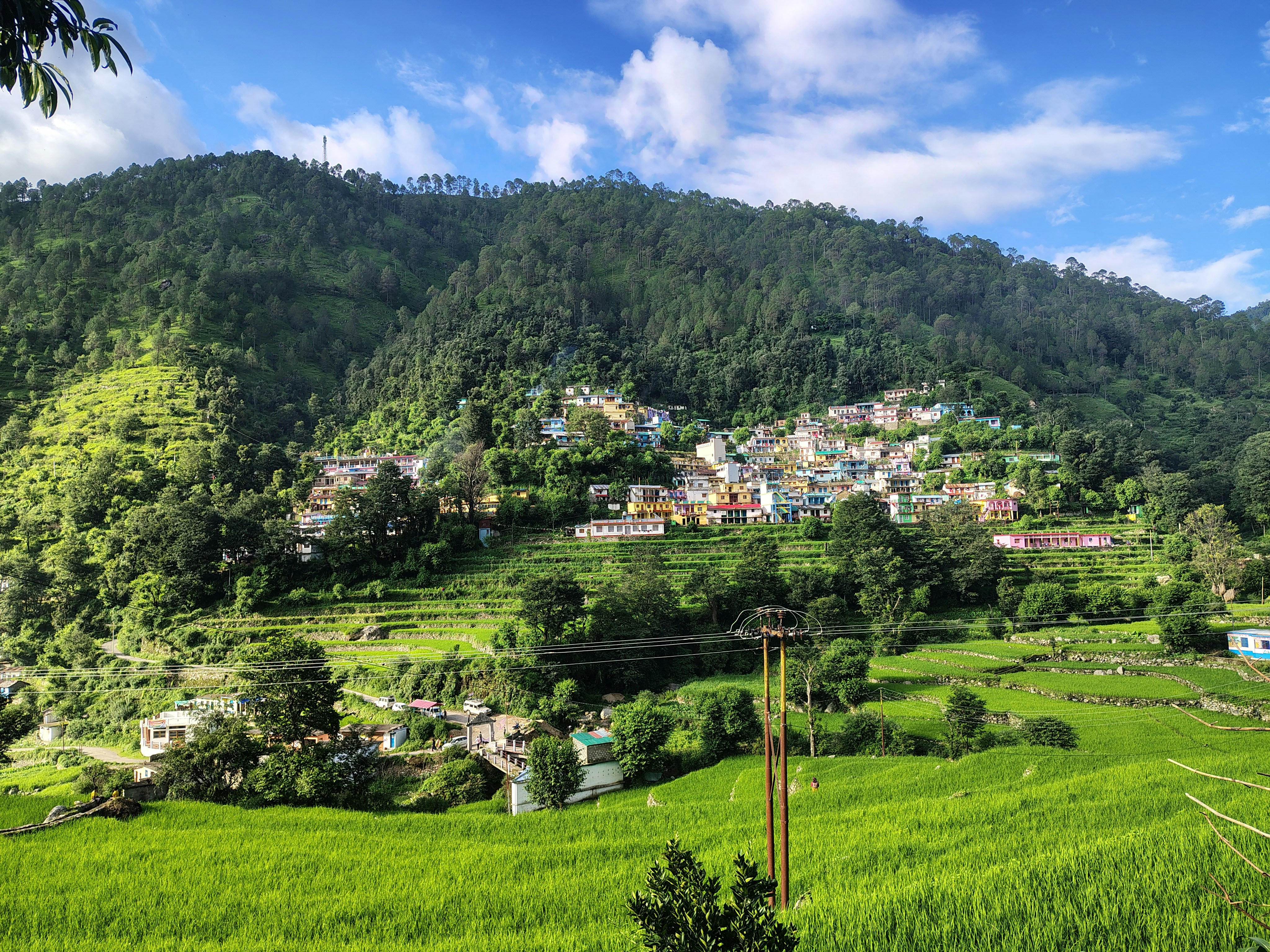 Photo by dendrophile