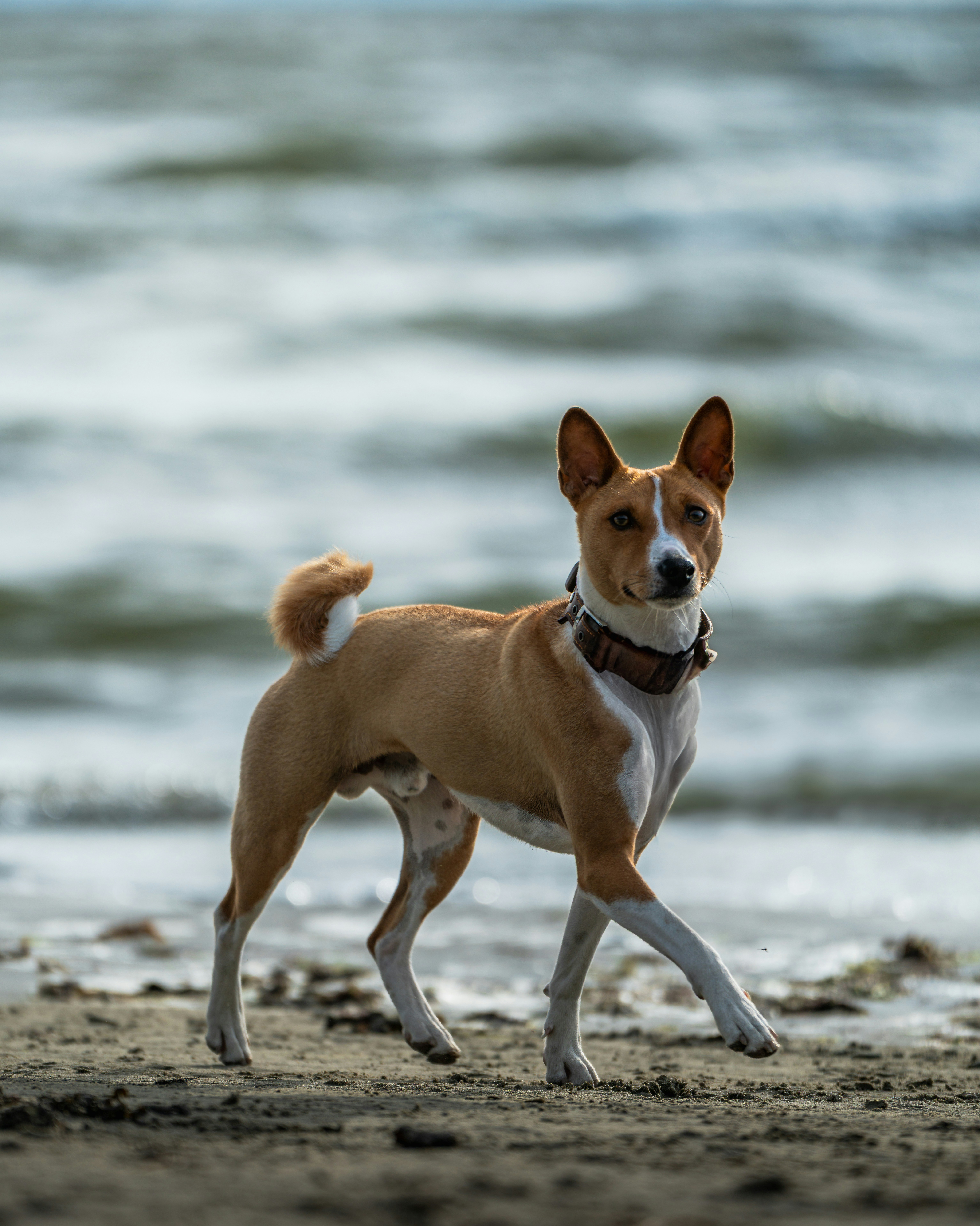 Photo by eduartography