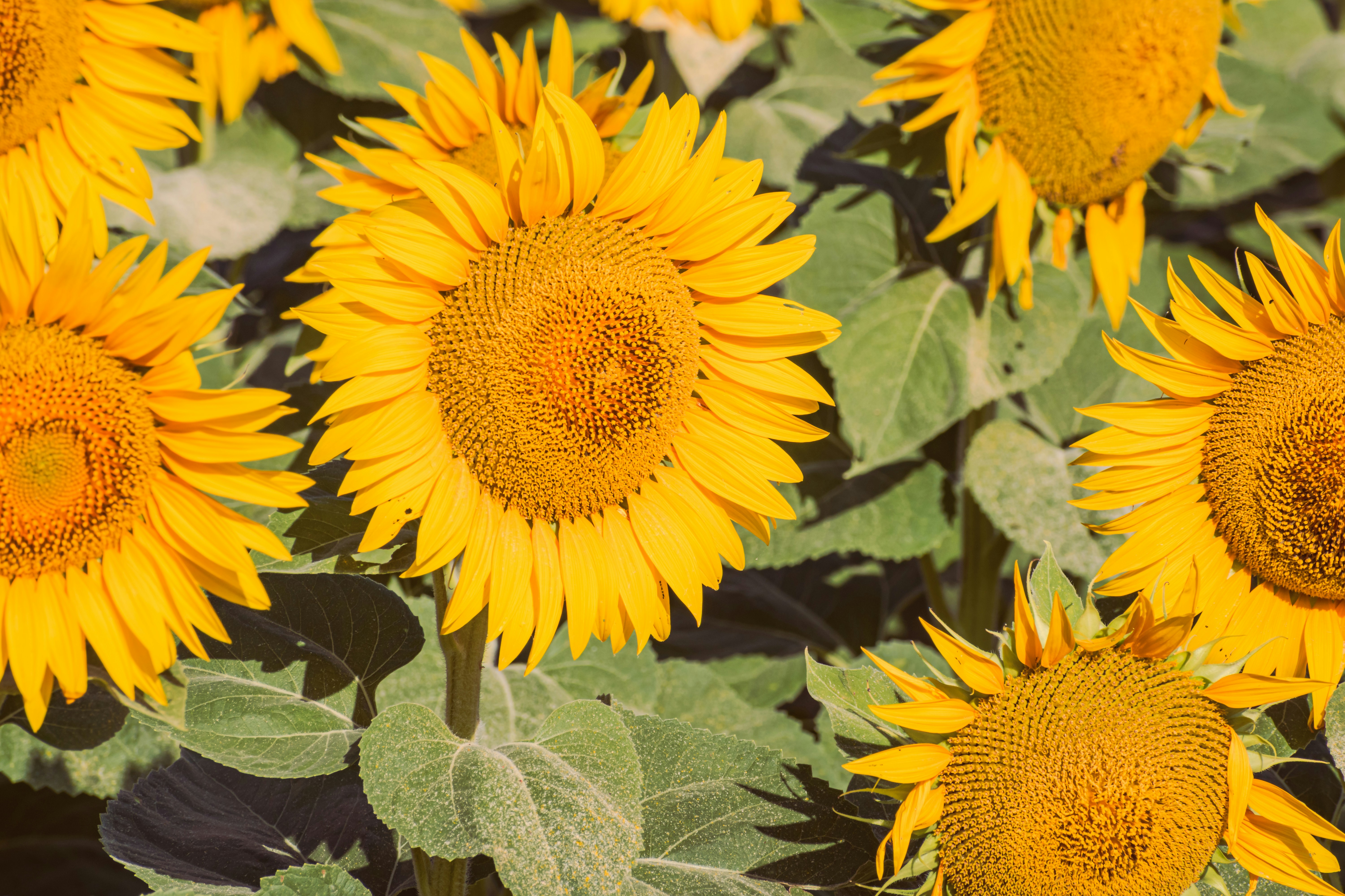 Photo by niki_emmert