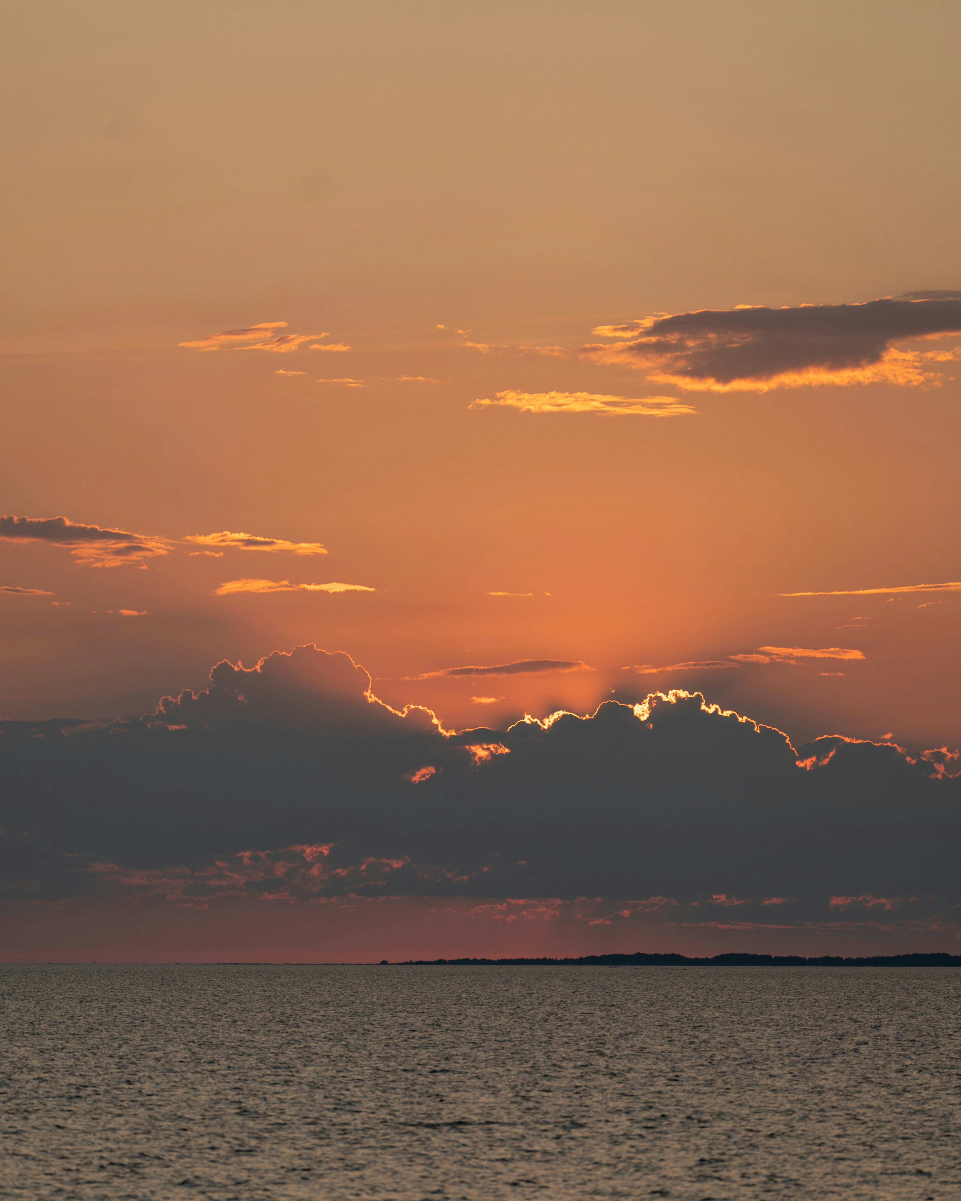 Photo by eduartography