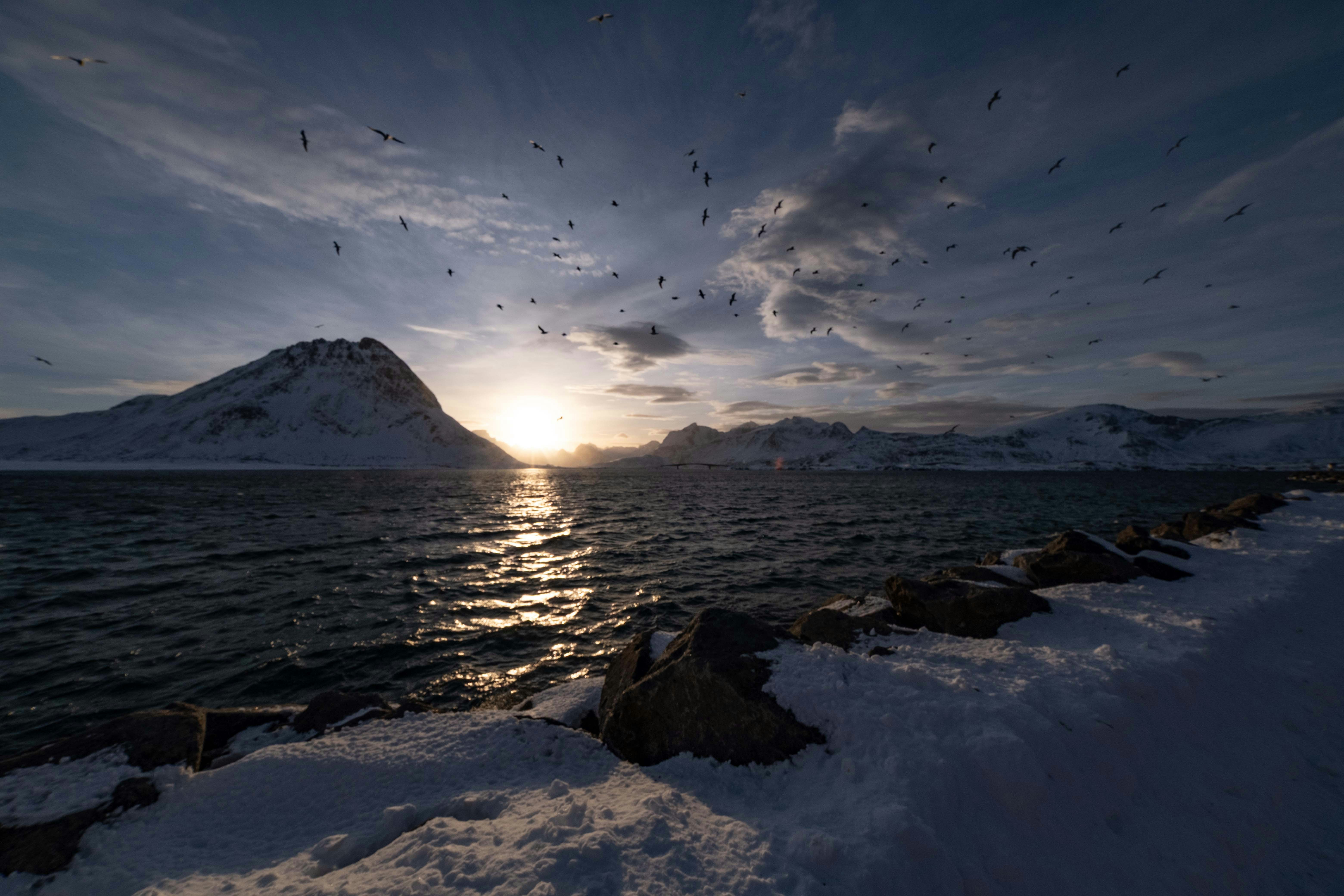 Photo by francesco_ungaro