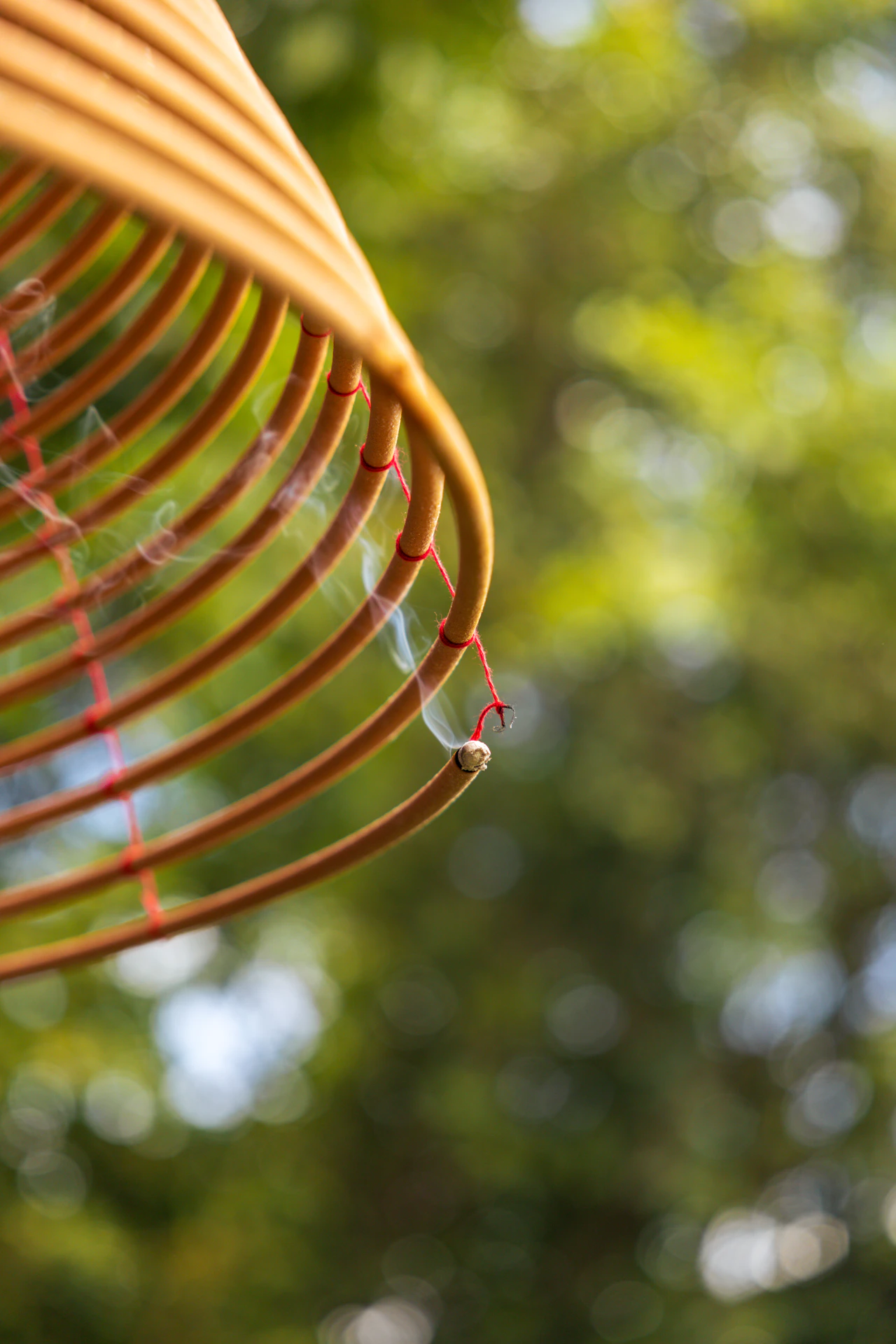 An incense coil against temple greenery