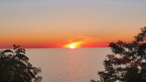 Sunset over the sea with trees on either side.