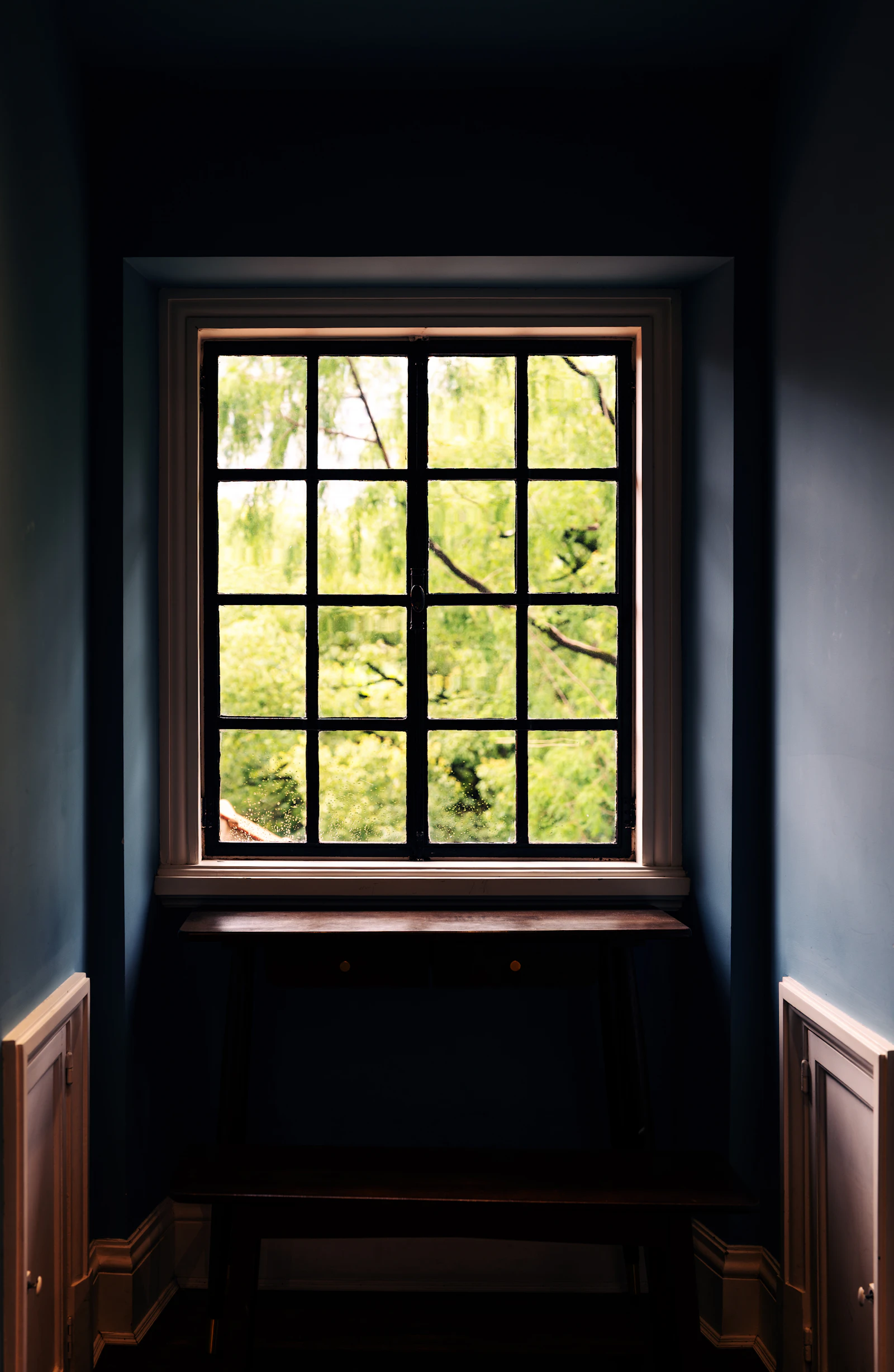 A window frames a view of lush green trees