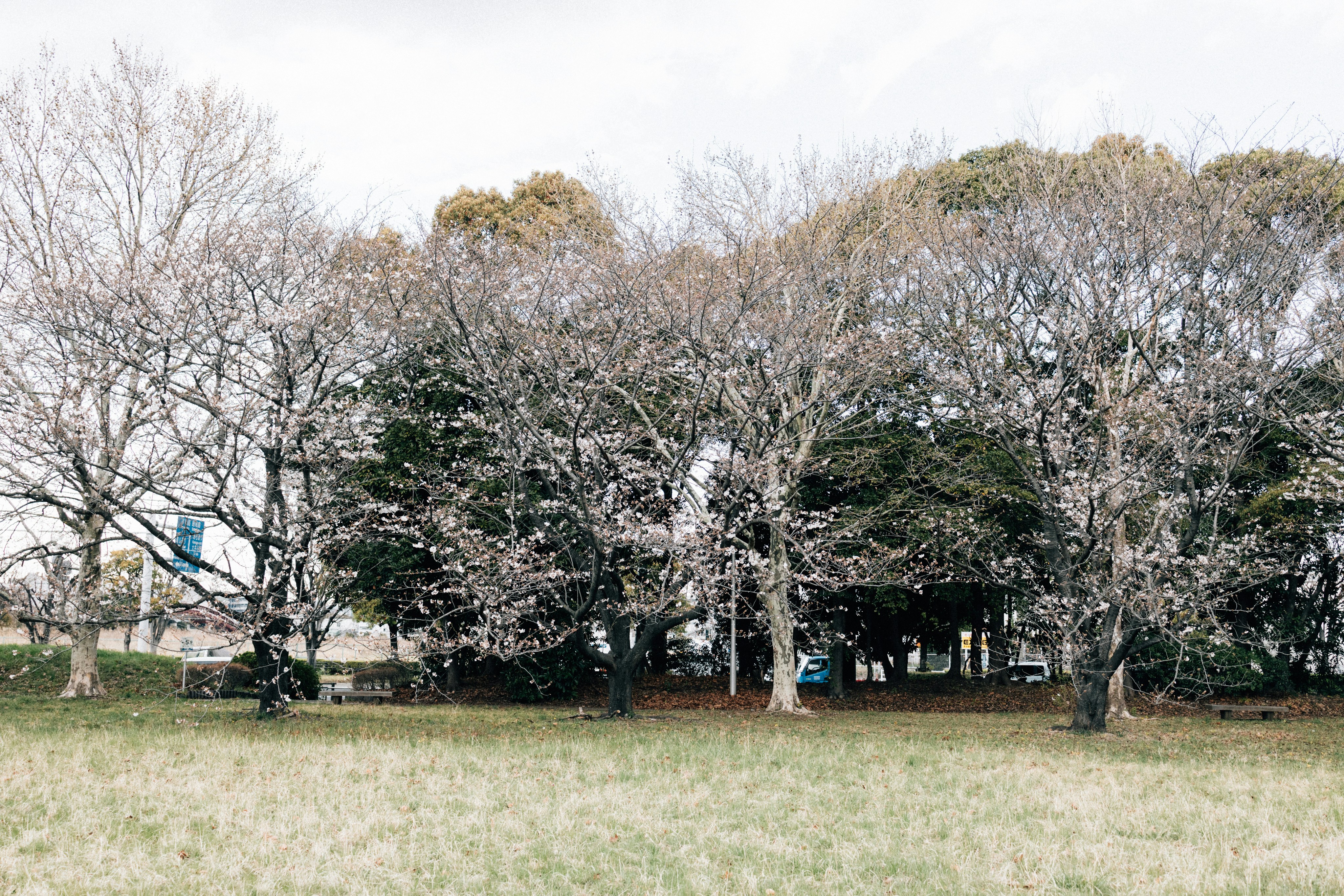 Photo by tsuyoshikozu