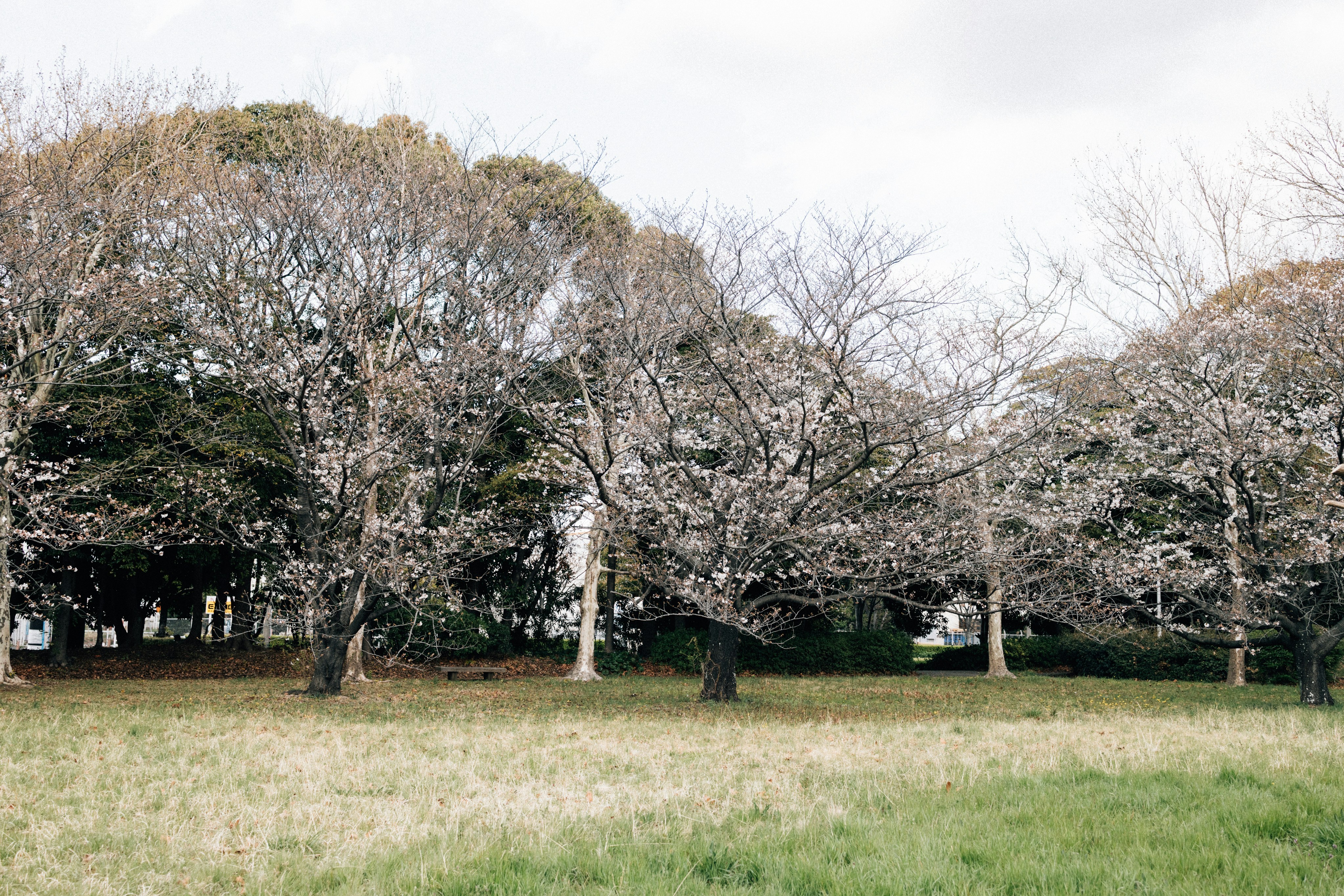 Photo by tsuyoshikozu