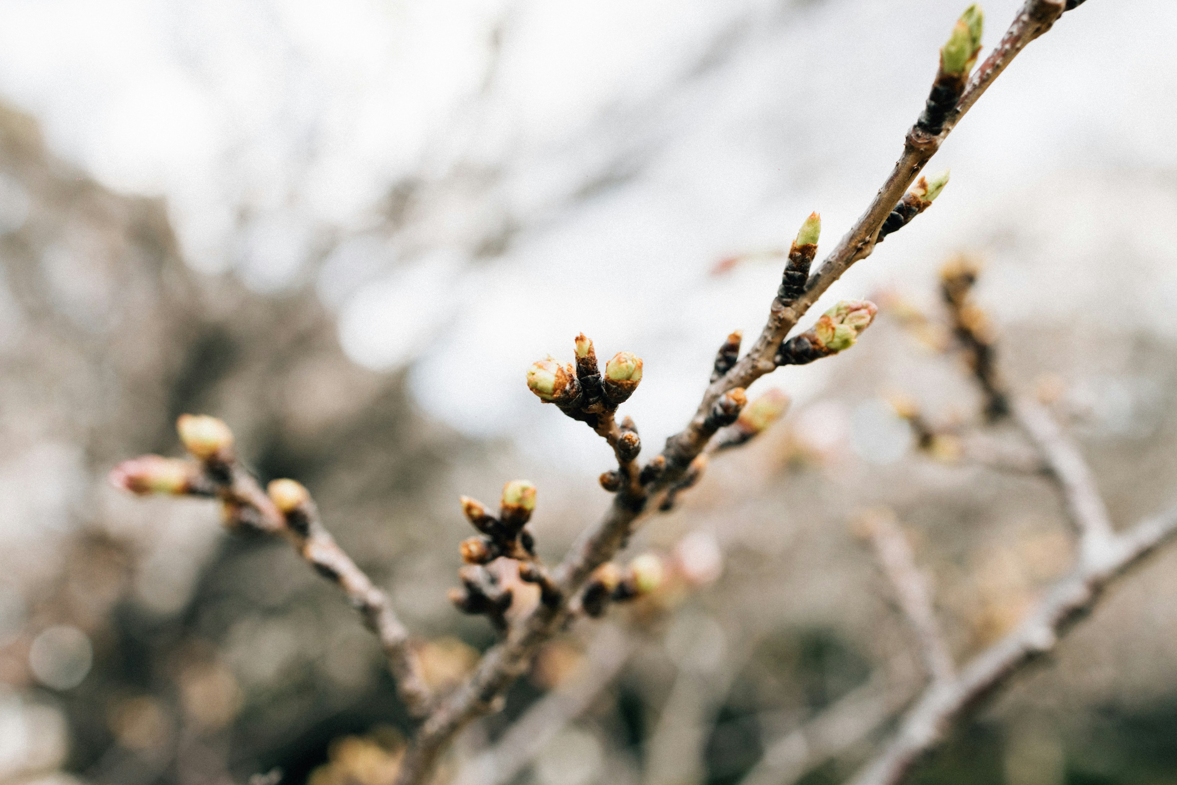 Photo by tsuyoshikozu