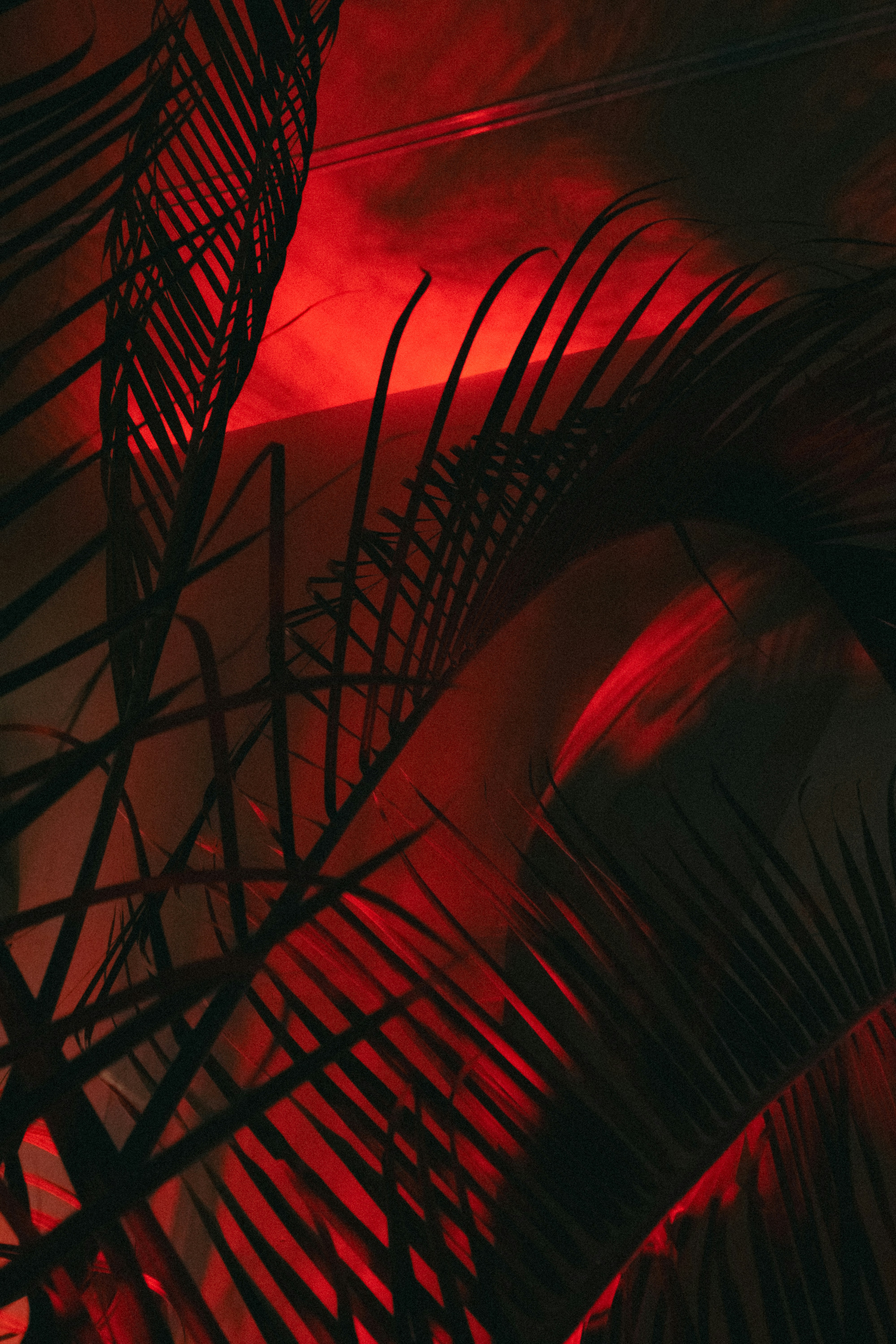 Photo by kolesnykyan