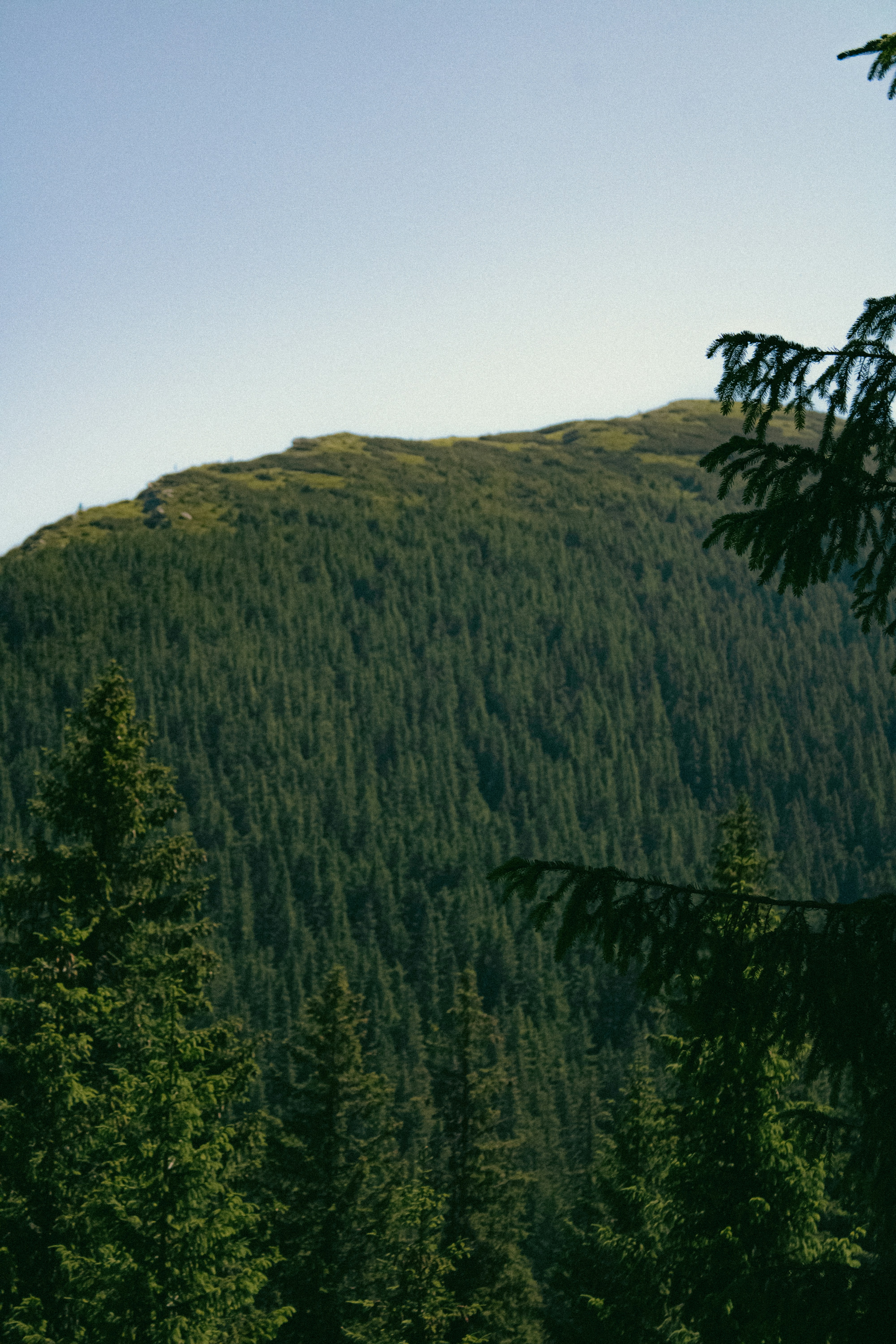 Photo by kolesnykyan