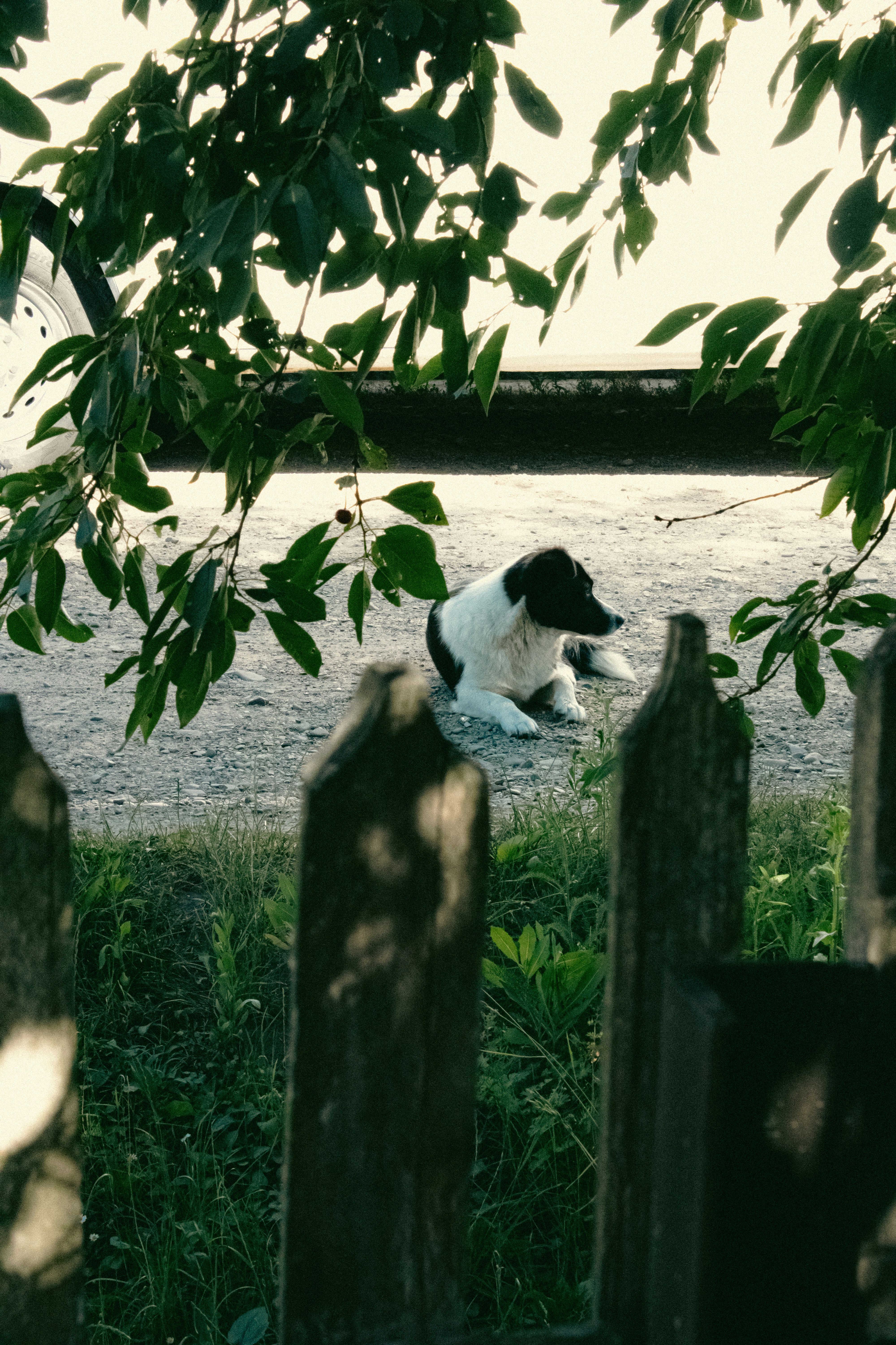 Photo by kolesnykyan