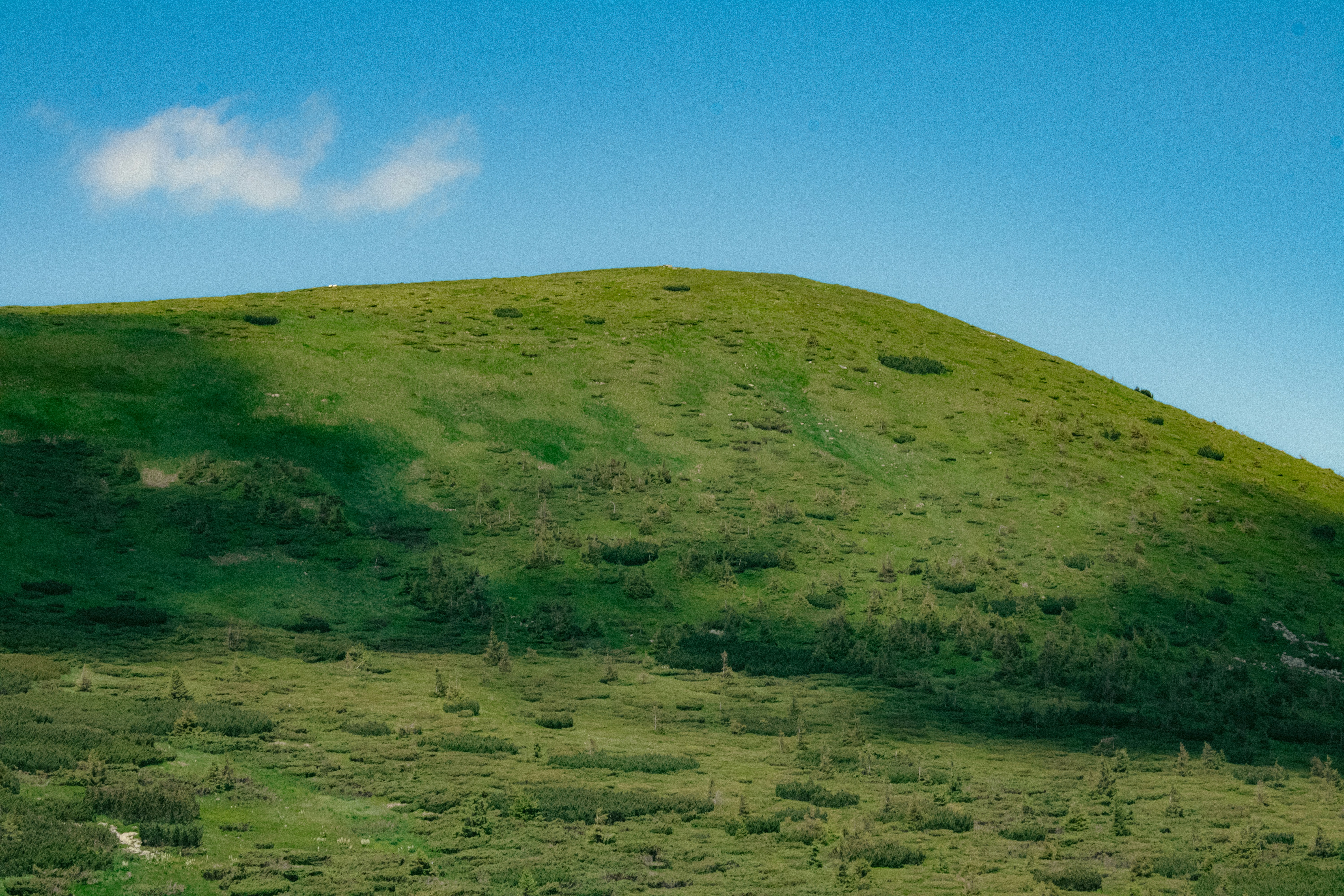 Photo by kolesnykyan