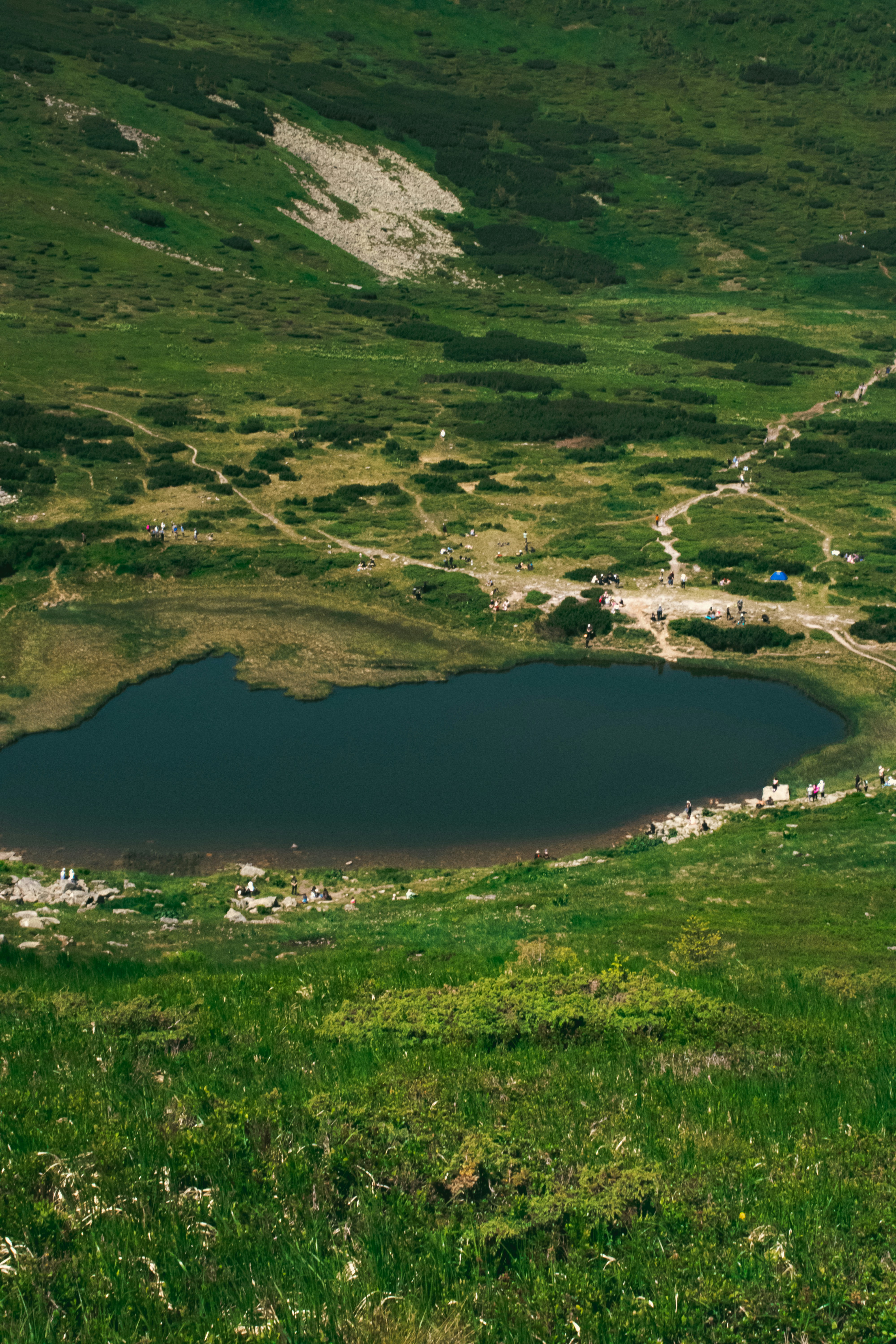 Photo by kolesnykyan