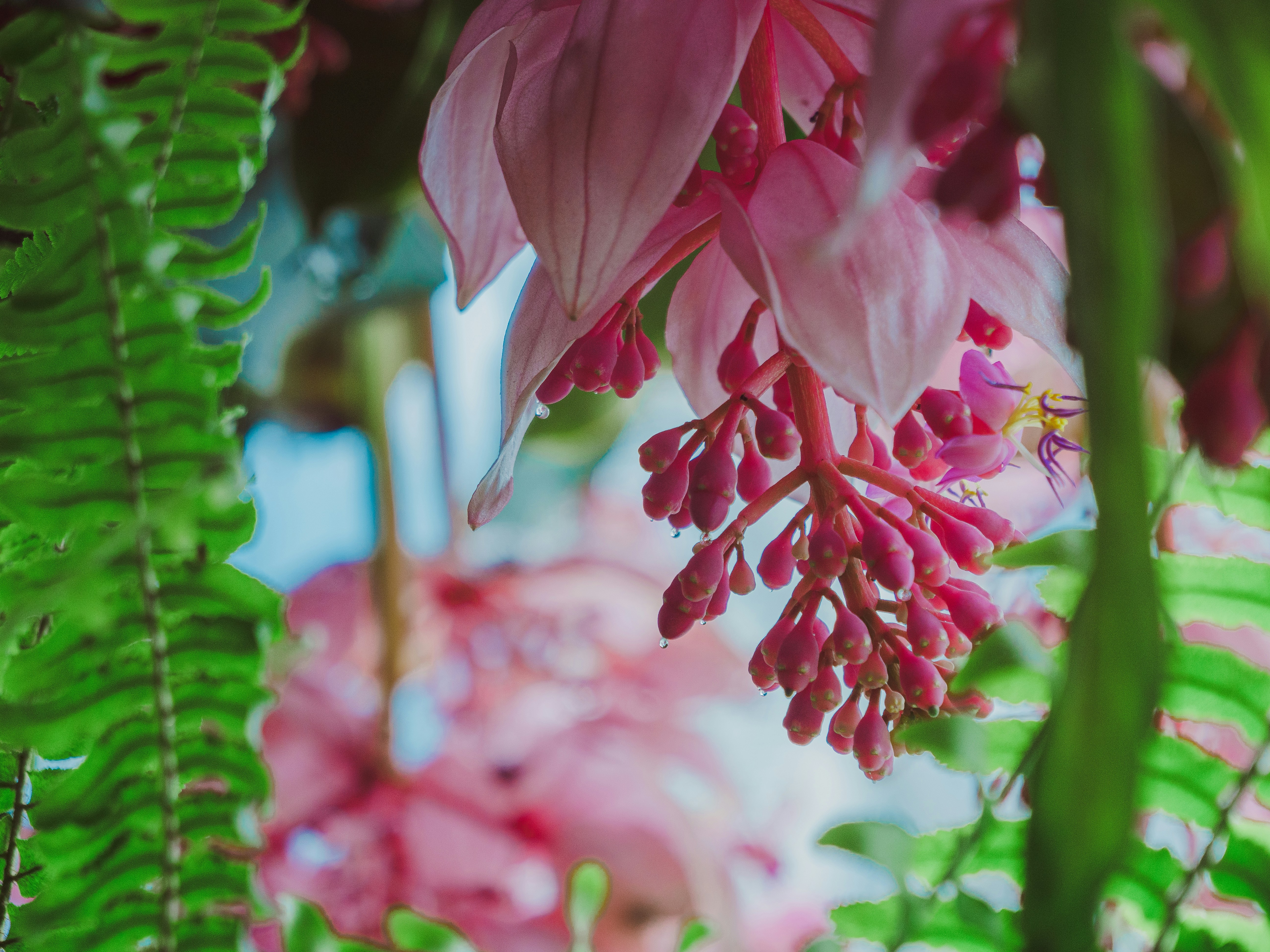 Photo by potokvarte