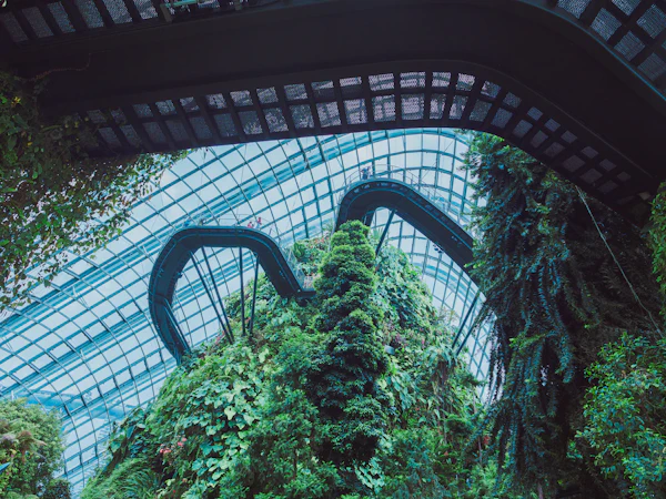 Indoor conservatory at Gardens by the Bay