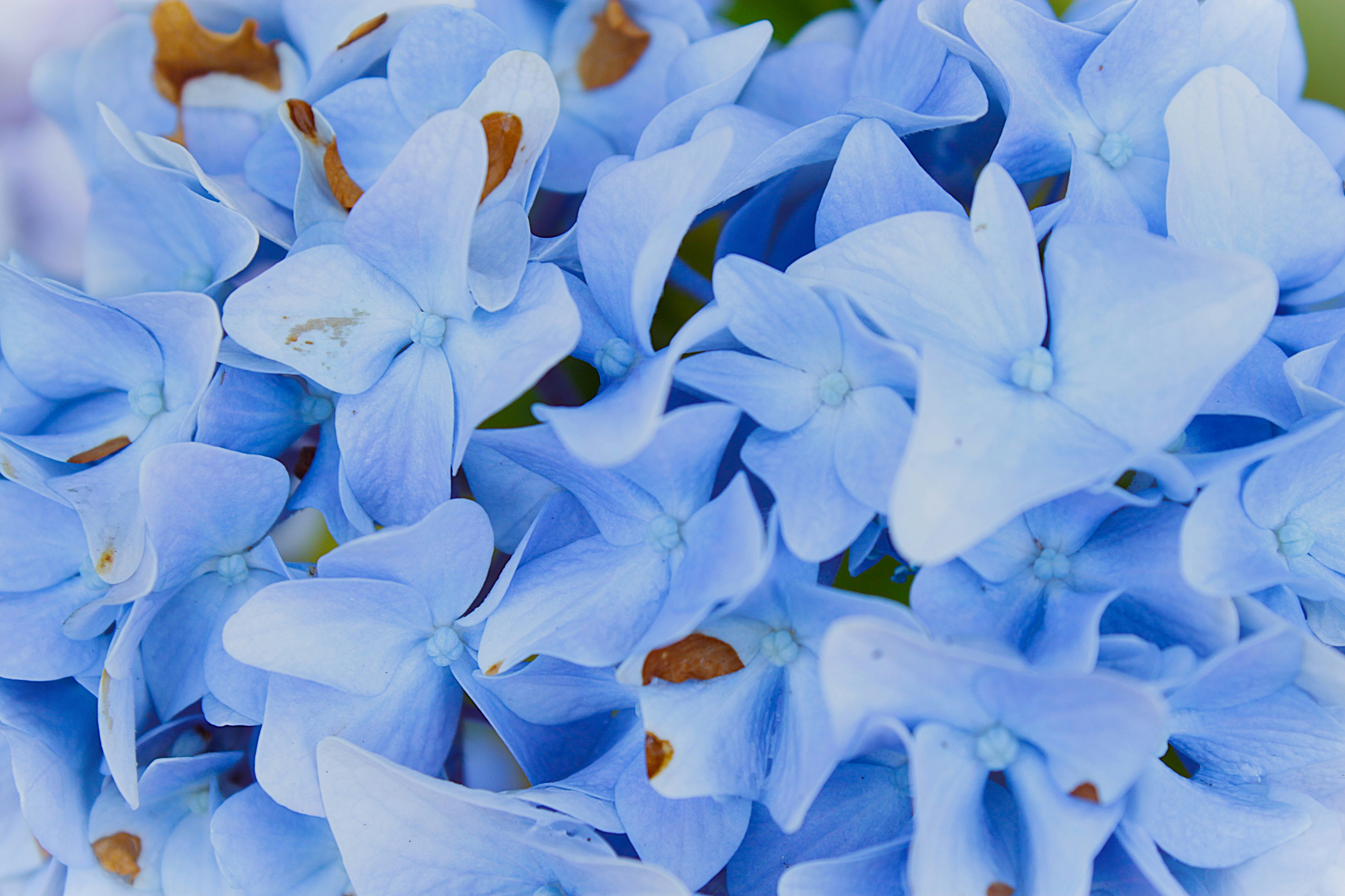 Photo by paulcaillot