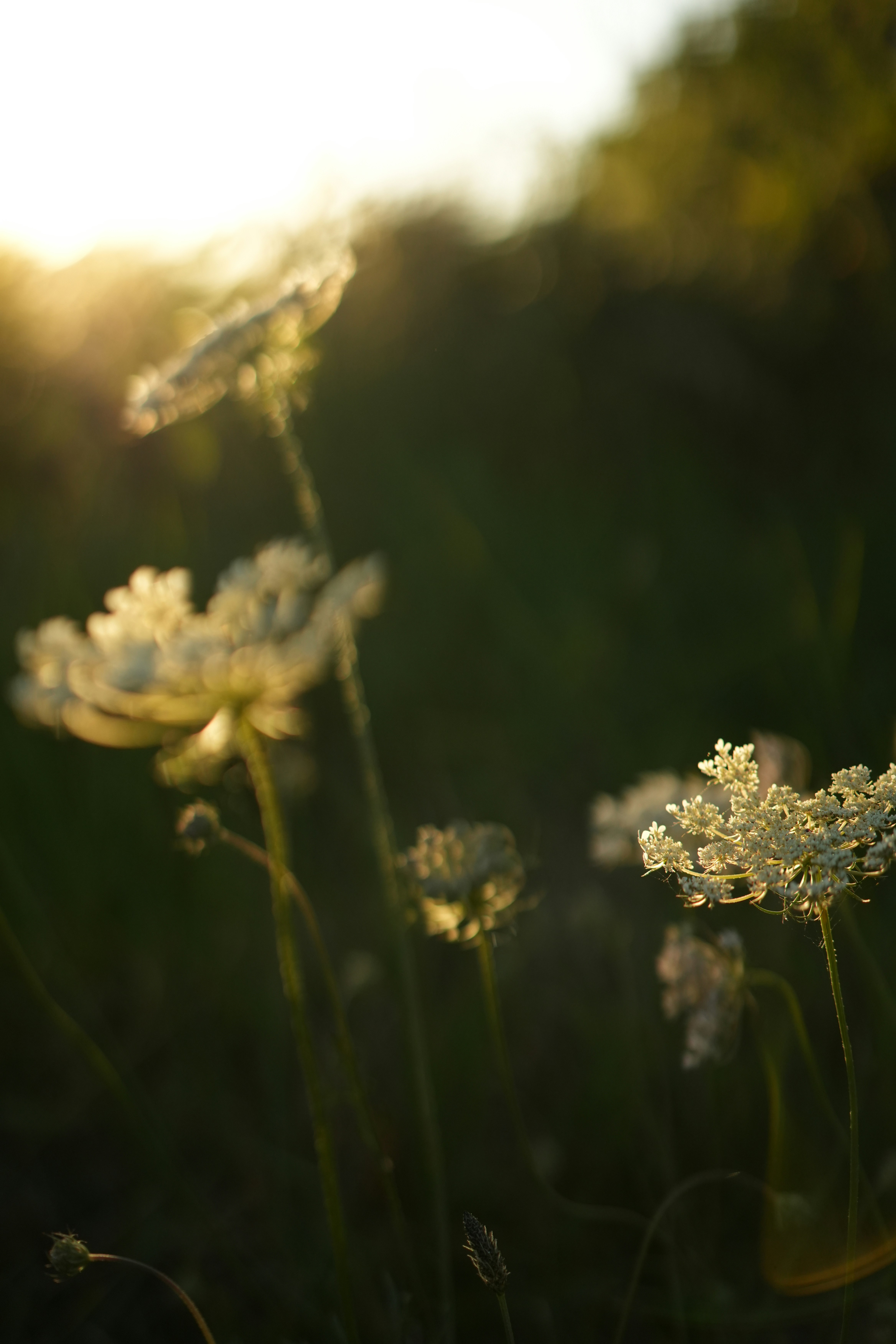 Photo by clara_devred