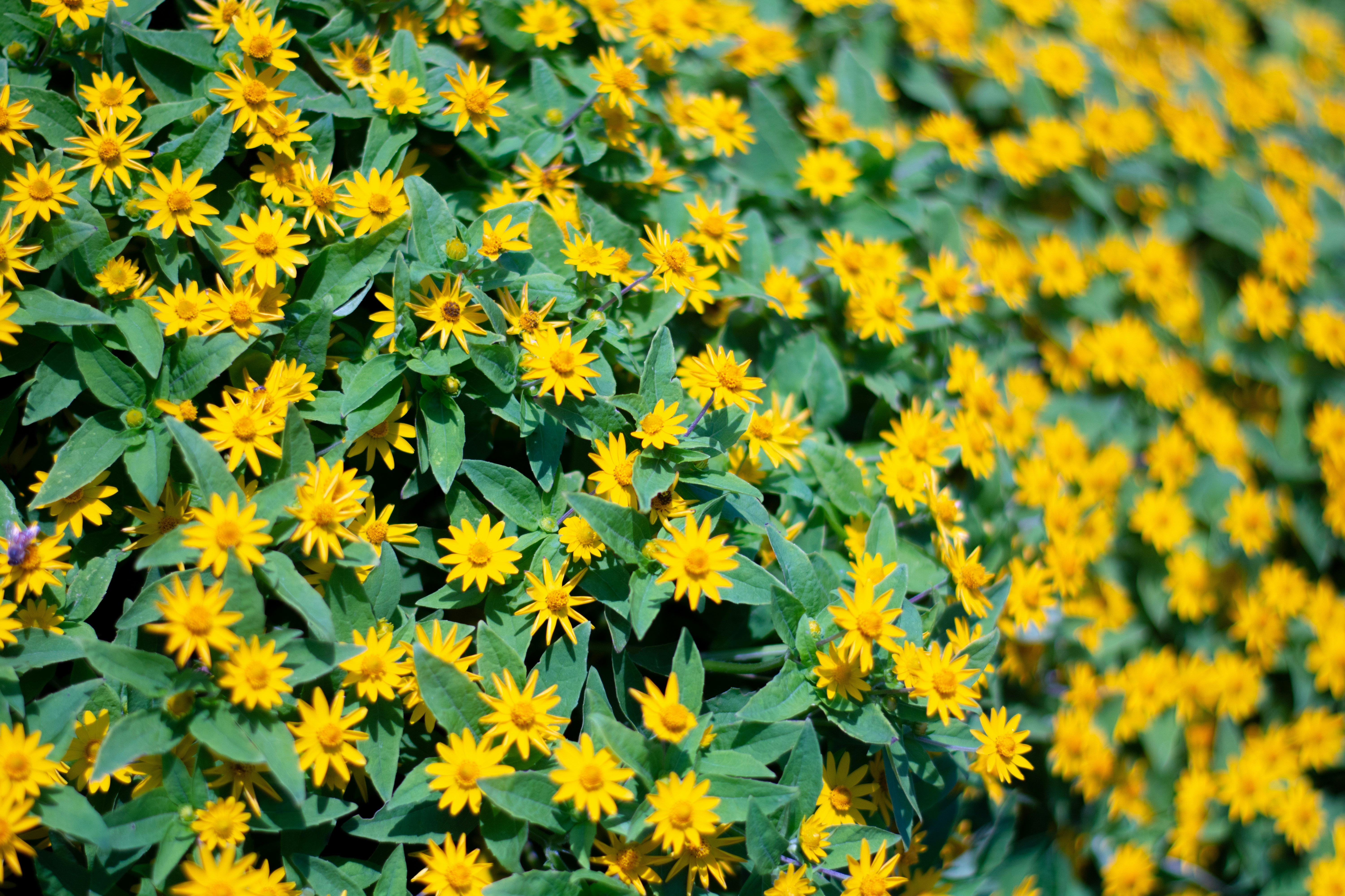 Photo by jplphotography