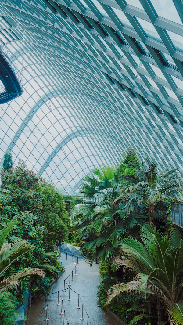 Lush planting inside a Gardens by the Bay conservatory