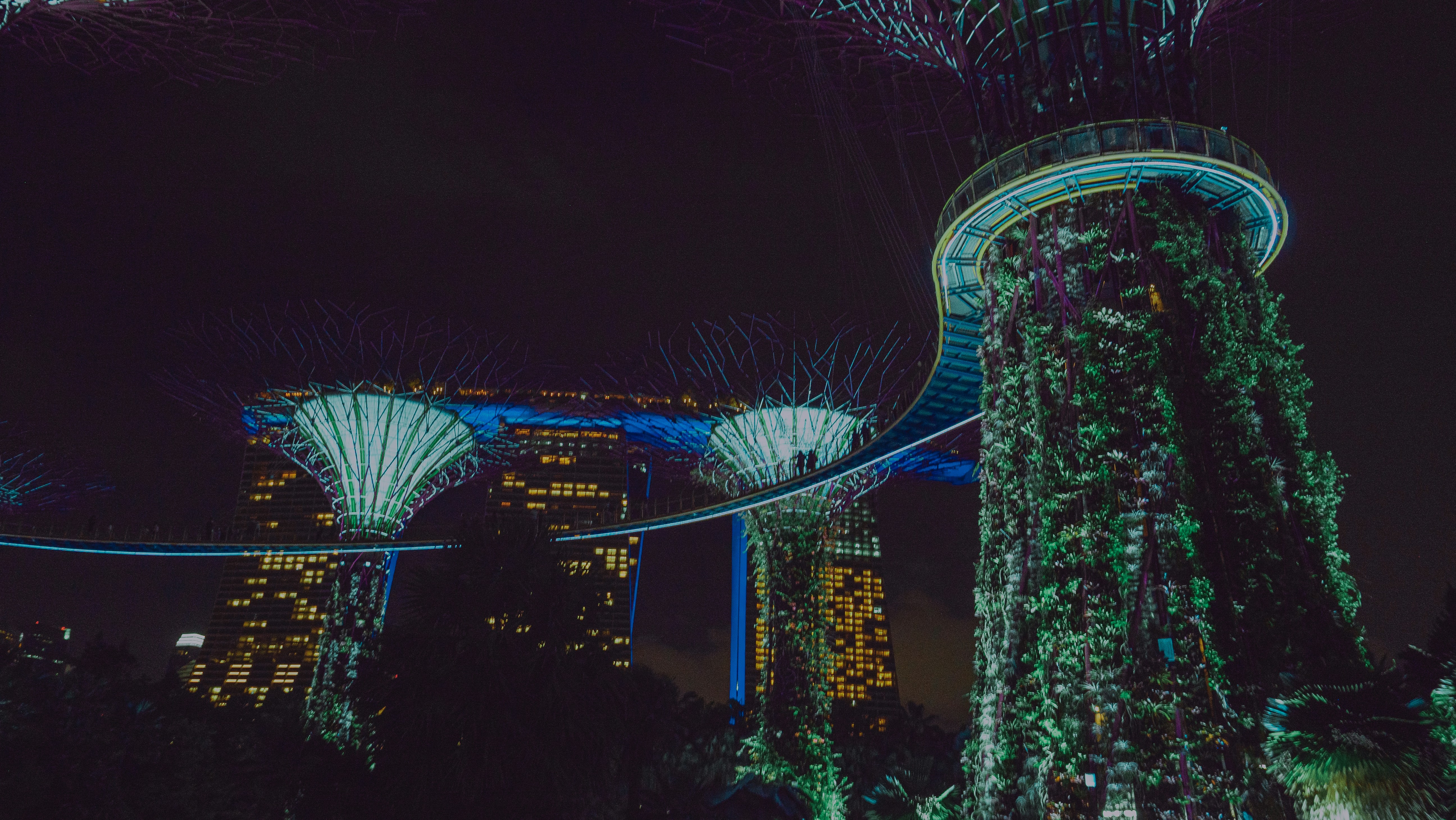Gardens by the bay, singapore, at night.