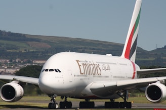 An emirates airplane is on the ground.